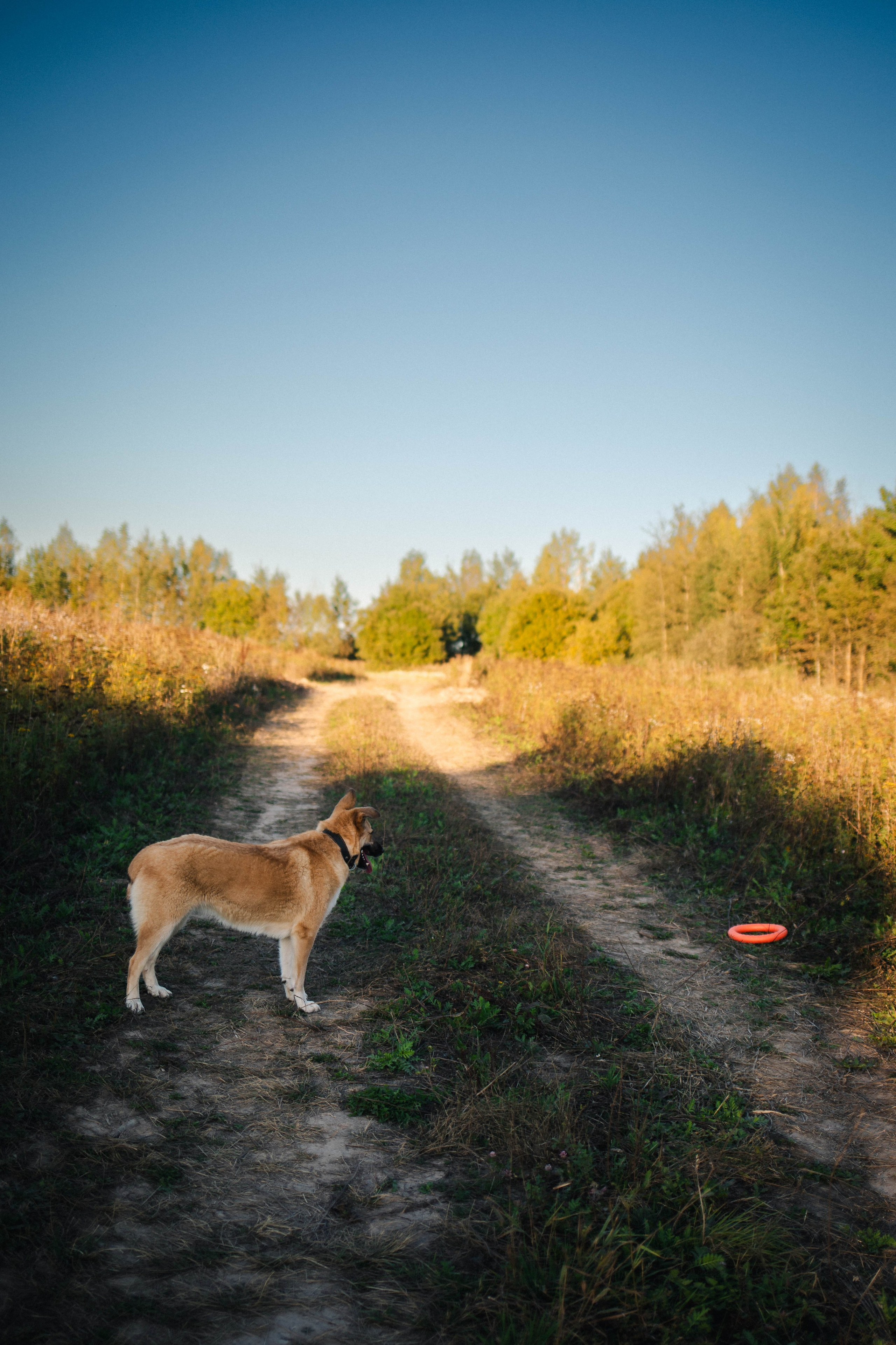 Альбом2. Фотограф Мария Сургаева | Профессиональная фотосъемка в Москве