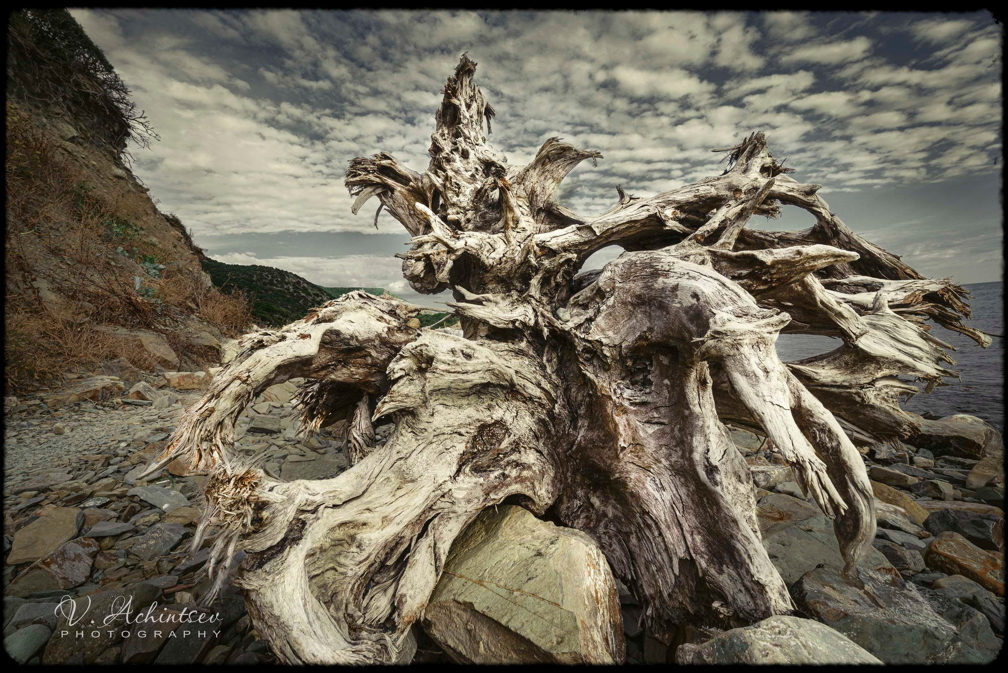 Художественная фотография. Фотограф в Сочи Владимир Ачинцев