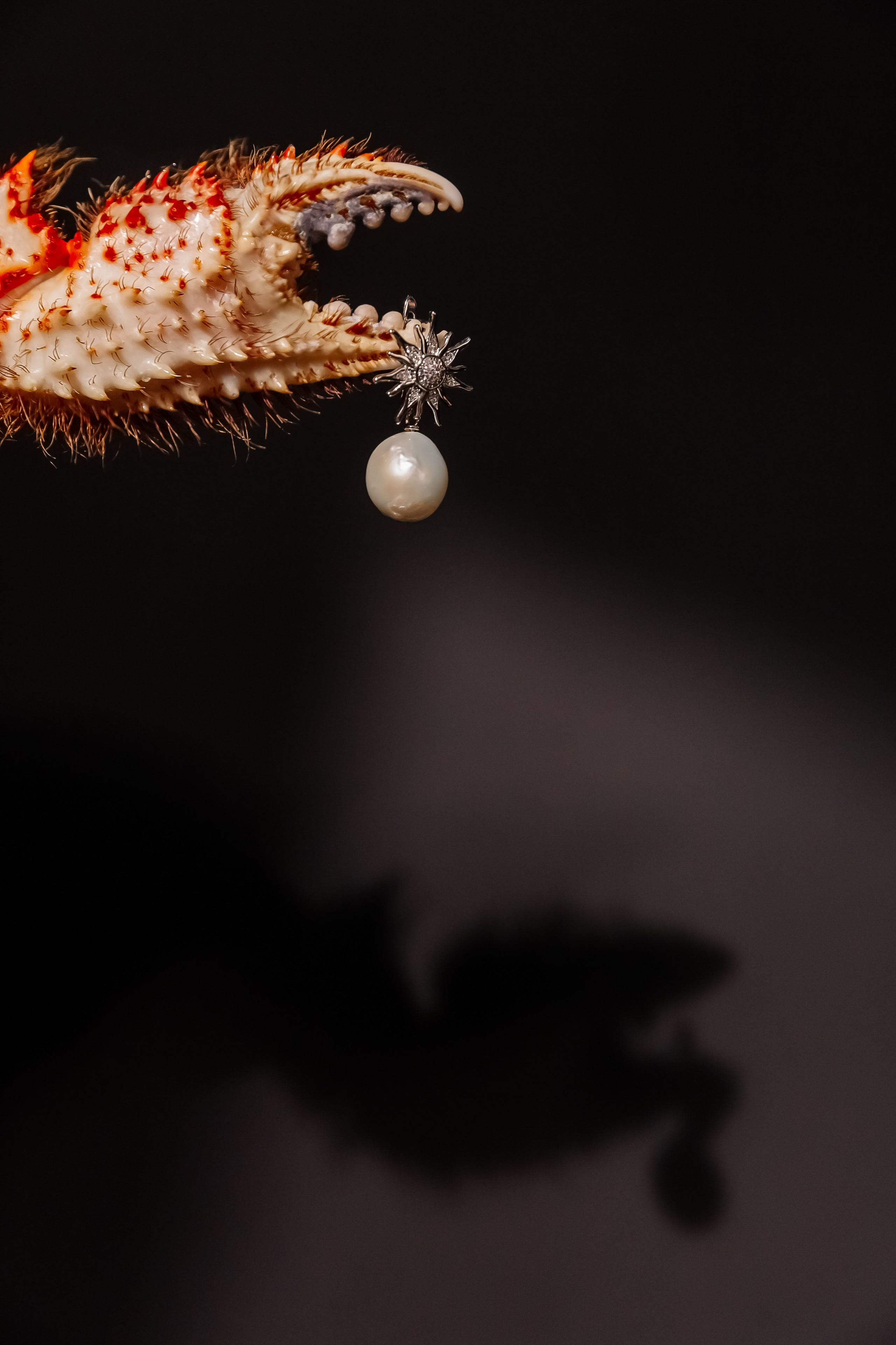 Splash.champagne. Профессиональный фотограф Инесса Новикова в Москве