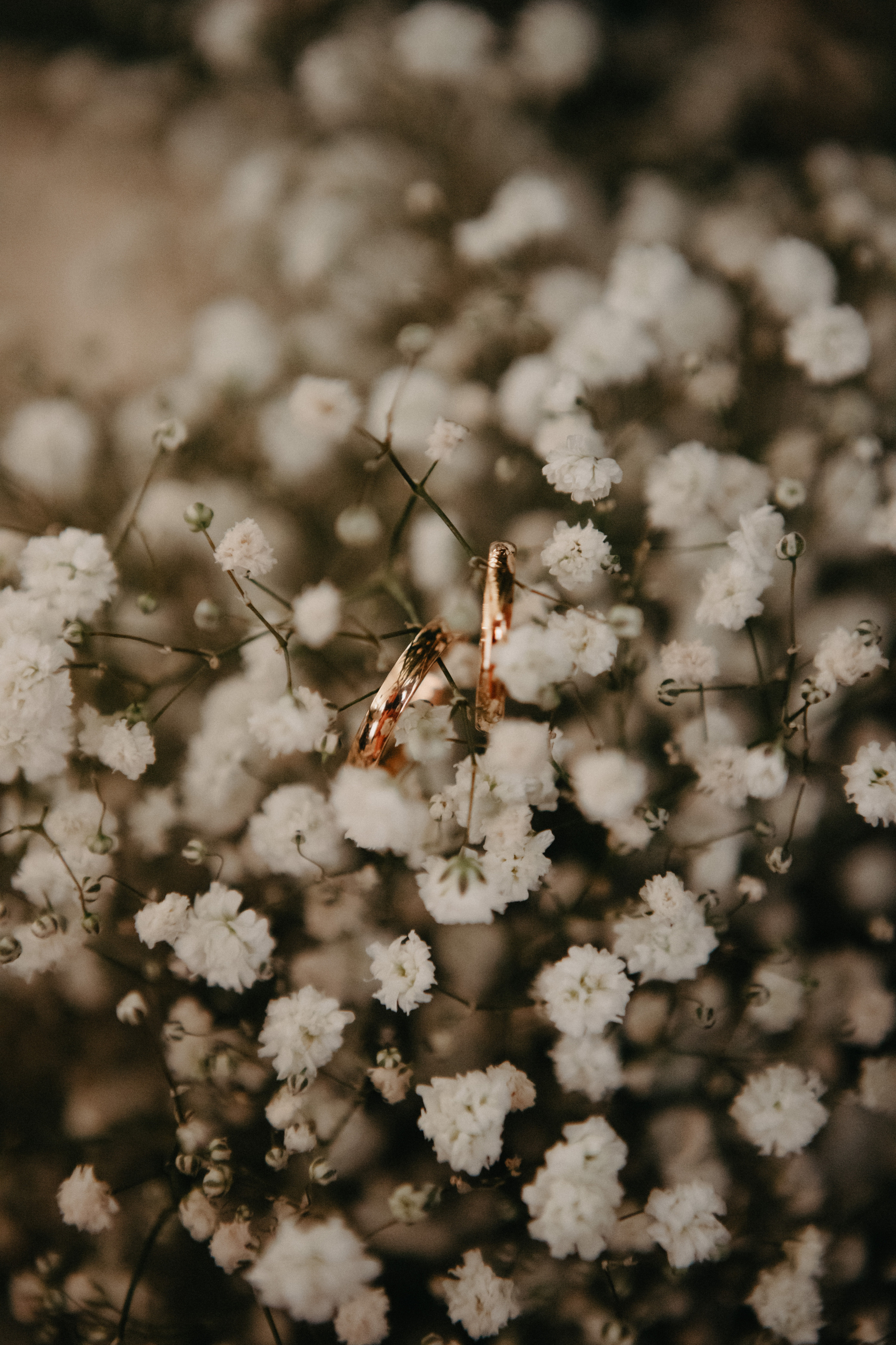 Анонс со свадьбы Марии и Михаила. Свадебный фотограф Москва и другие города