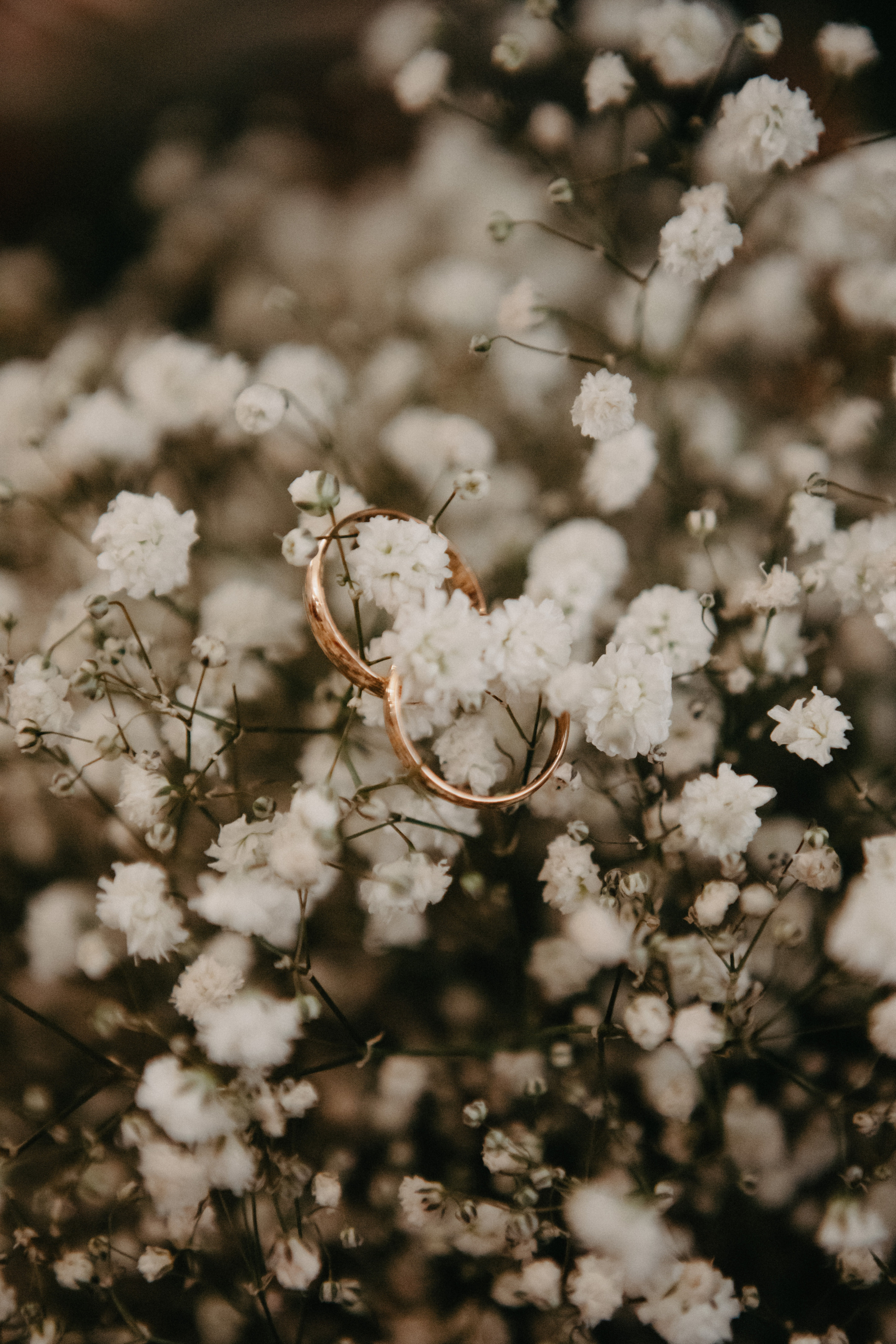 Анонс со свадьбы Марии и Михаила. Свадебный фотограф Москва и другие города