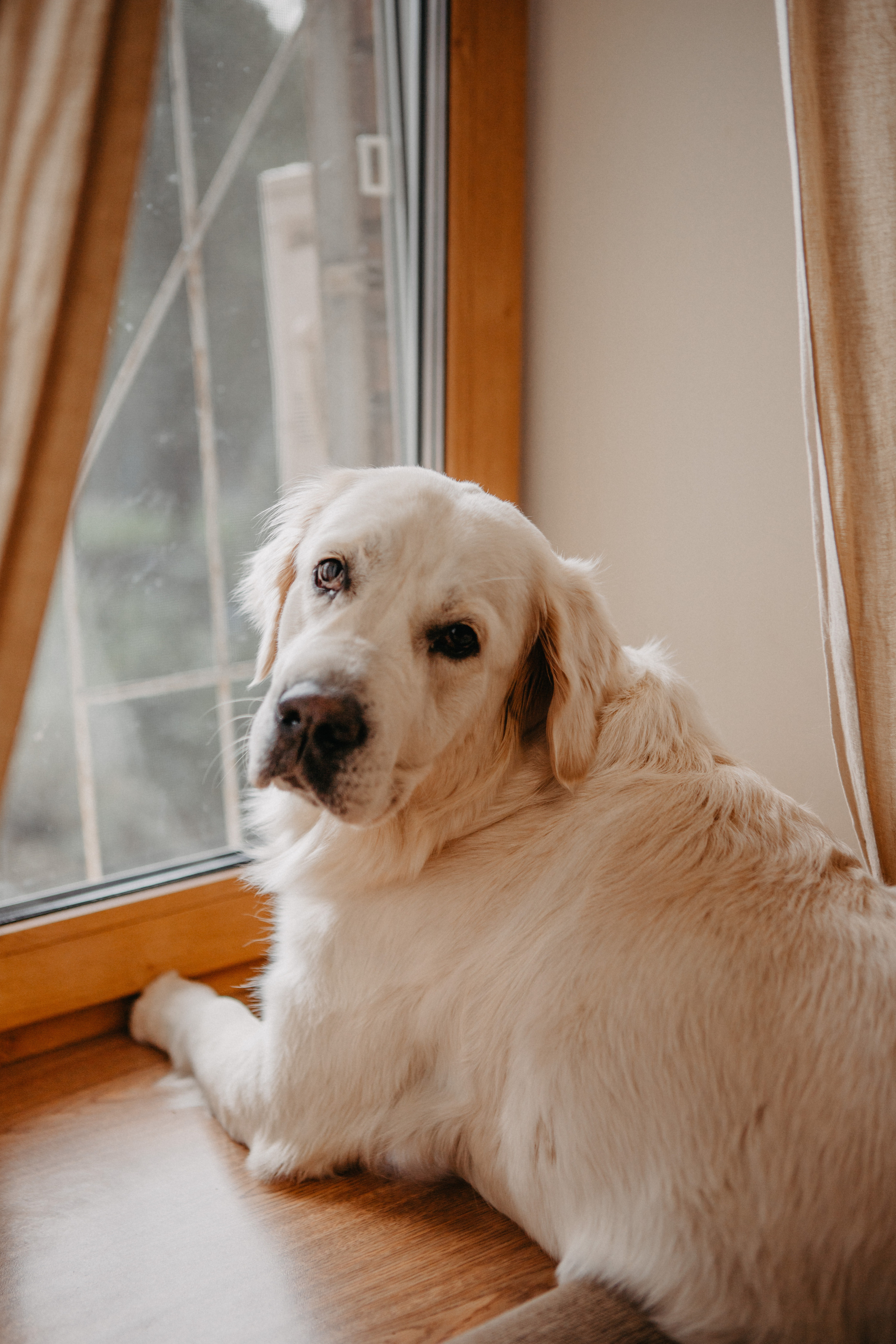 Анонс со свадьбы Разии и Дмитрия. Свадебный фотограф Москва и другие города