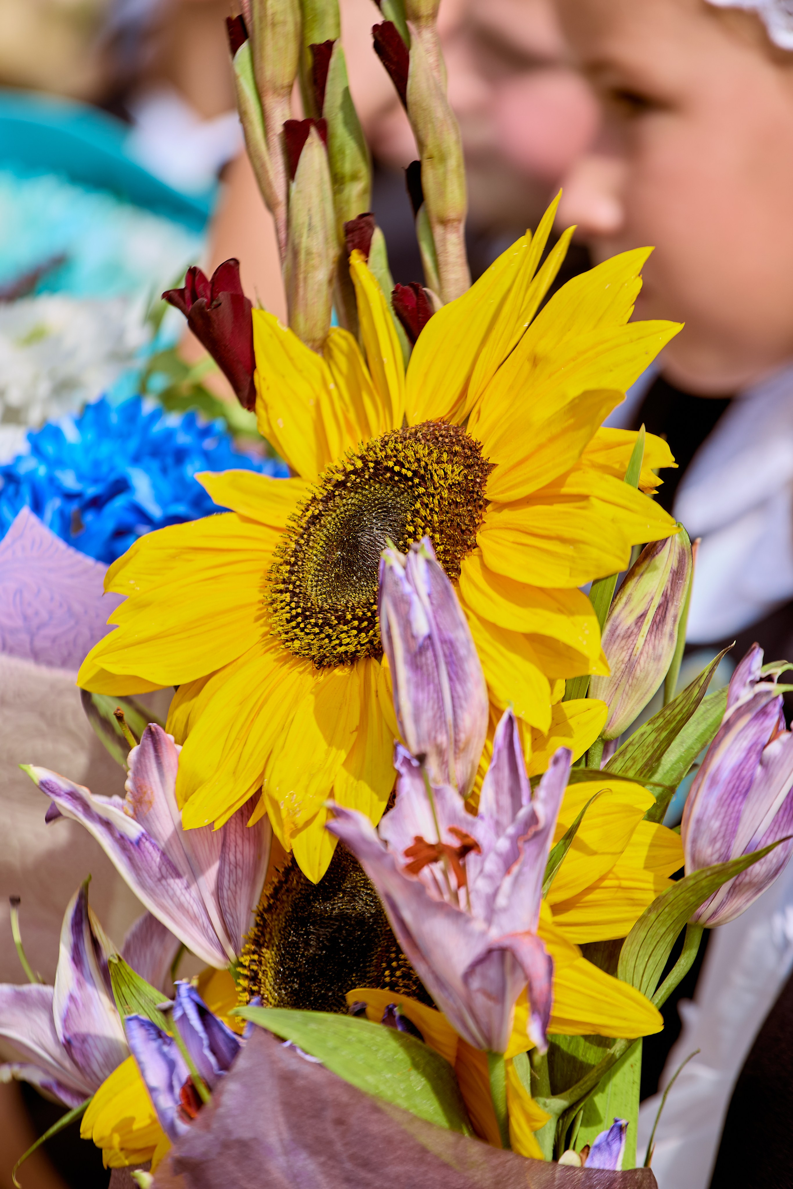 Фотографии День Знаний