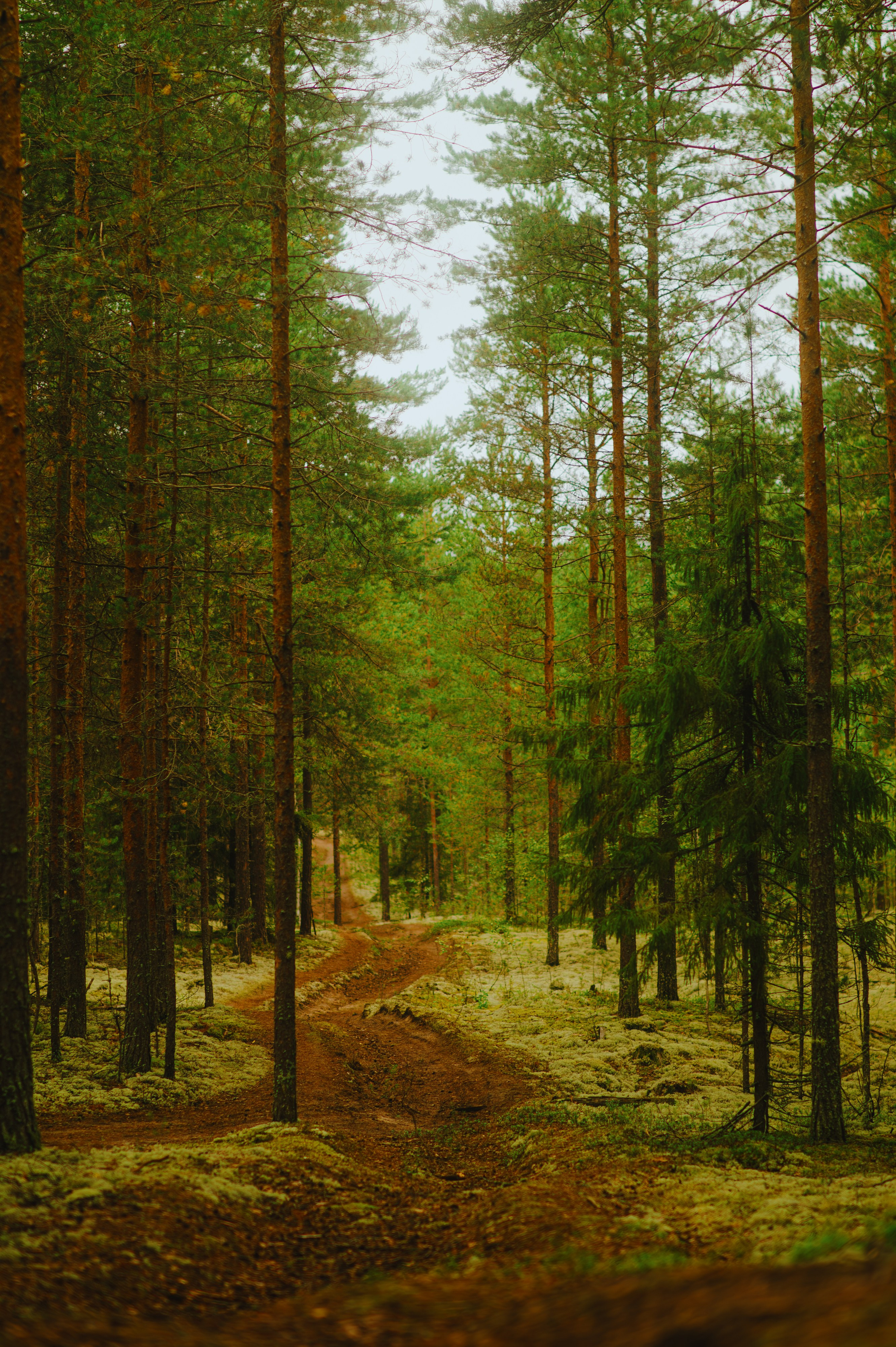 METADREAMS 2025. Контент фотограф Илья Урс