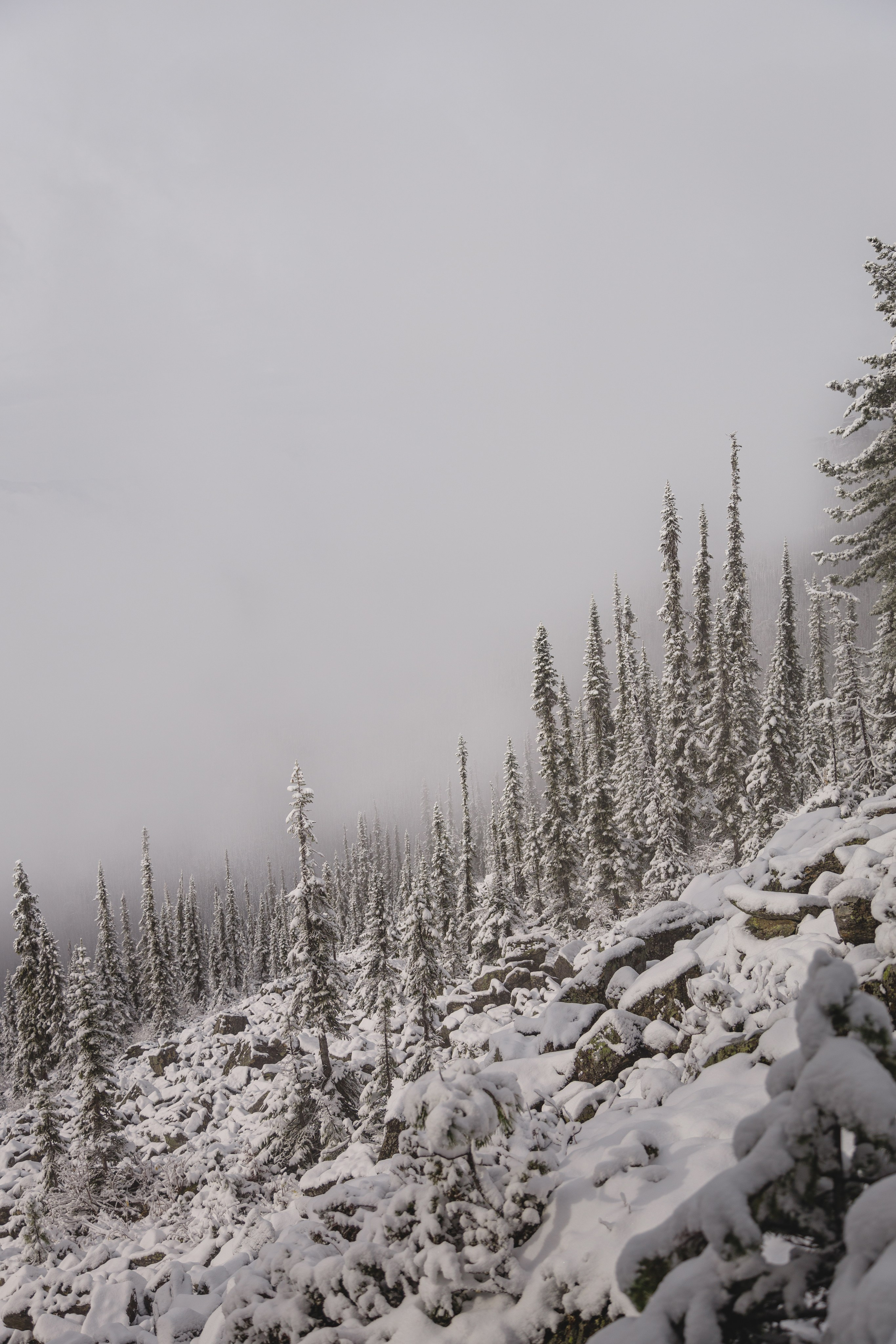 Ергаки (2022-23). Фотограф ваших событий в Красноярске — Макс Захарченко