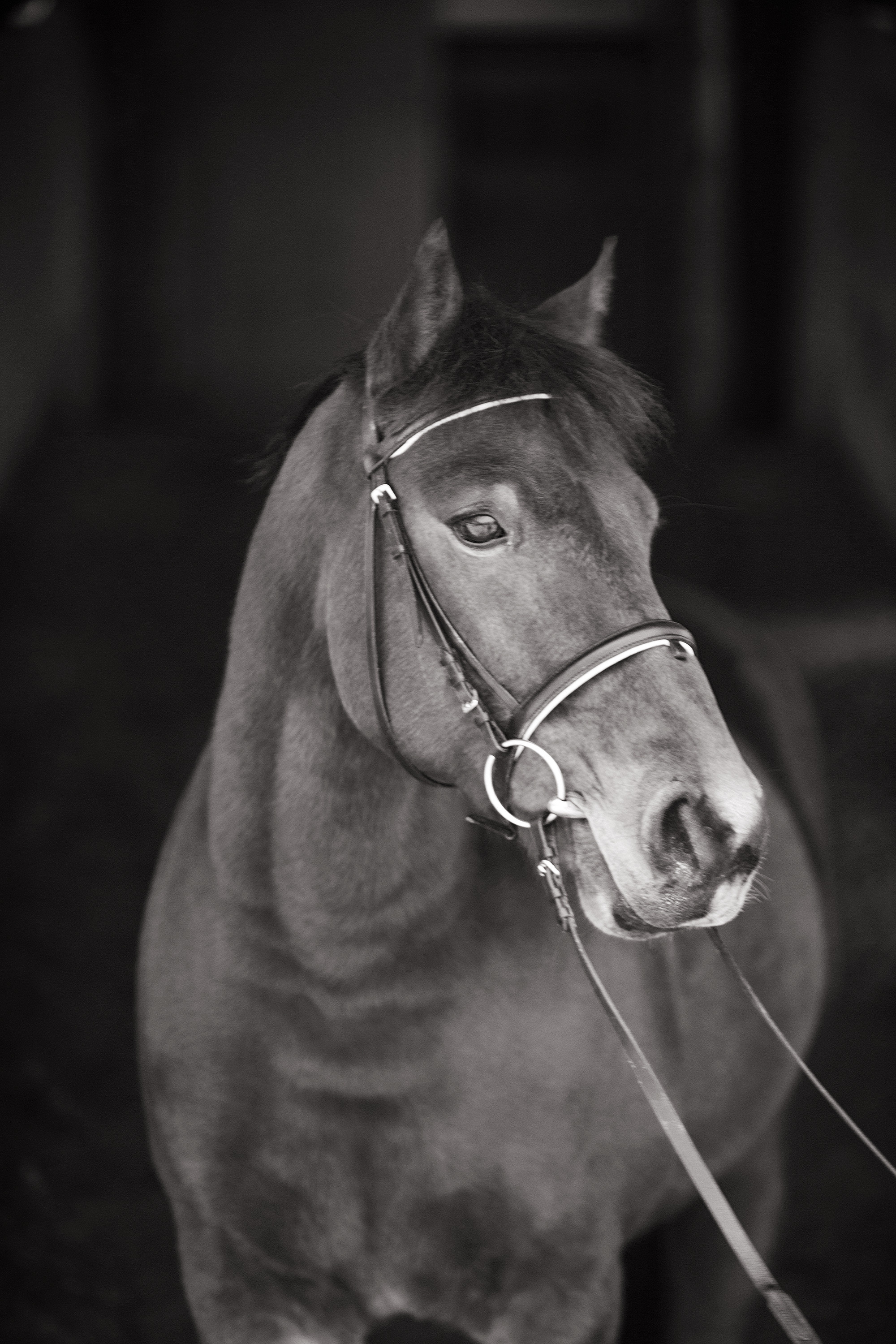 Живая нить. Детский центр лечебной верховой езды. Семейный и свадебный фотограф КМВ Луиза Горшенина