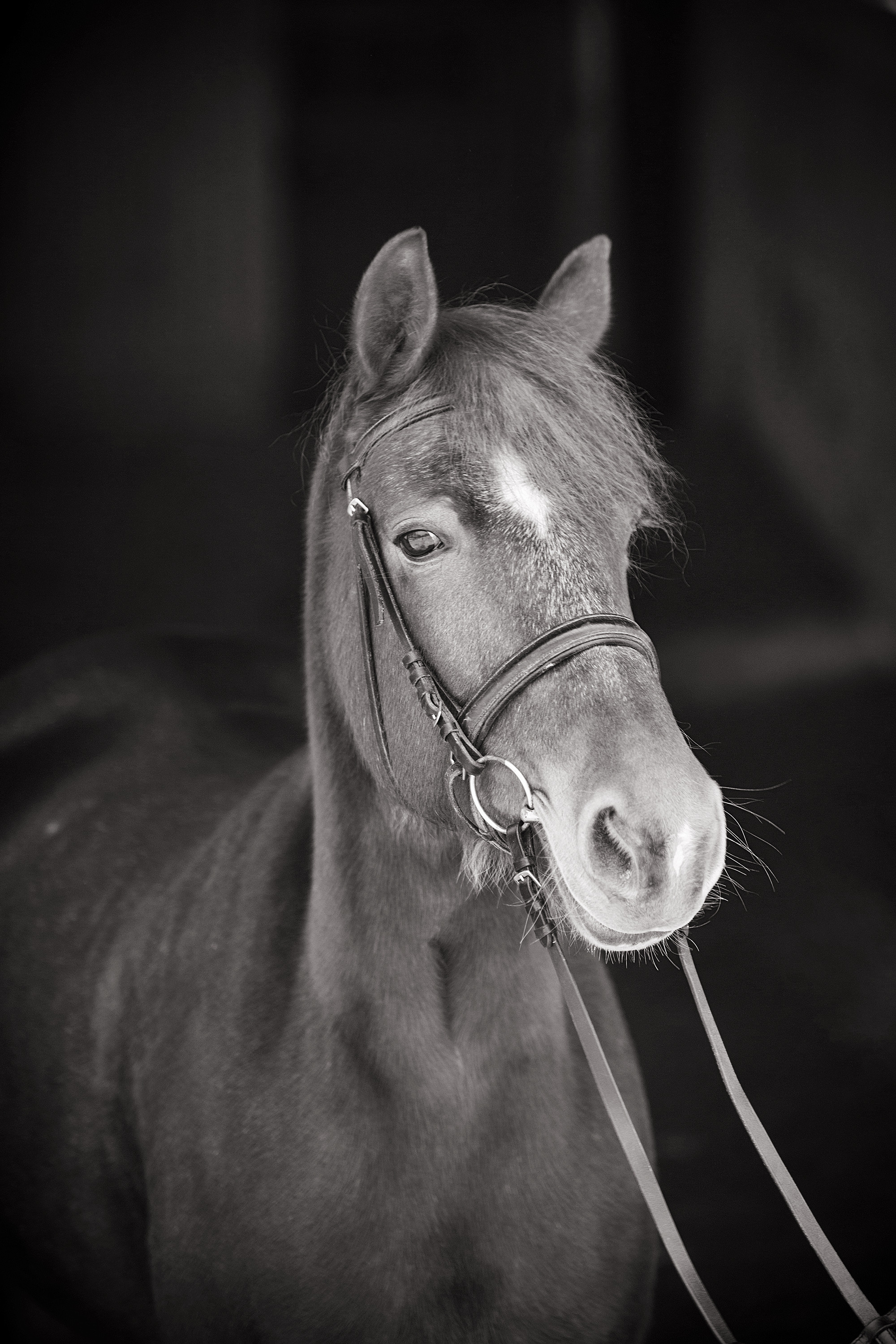 Живая нить. Детский центр лечебной верховой езды. Семейный и свадебный фотограф КМВ Луиза Горшенина