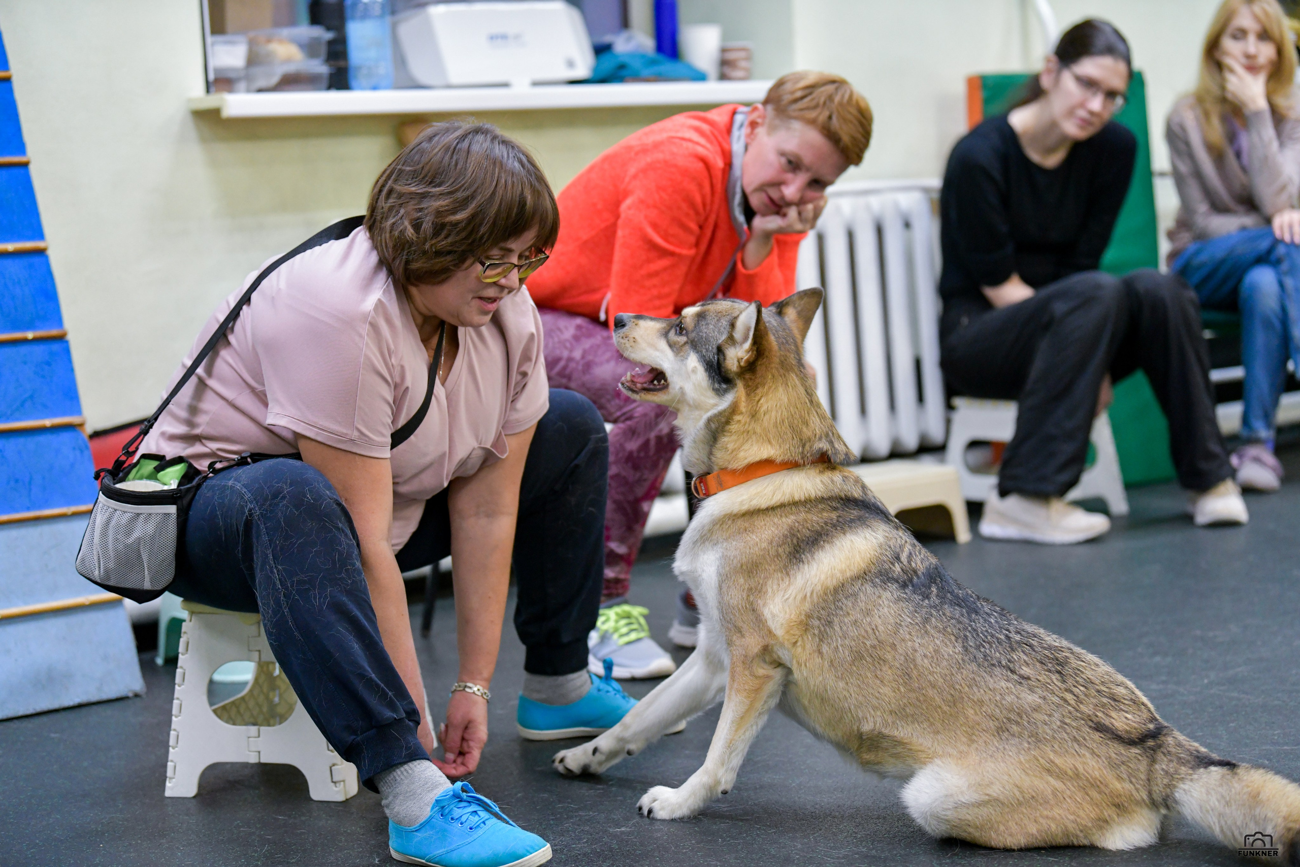 Кинологический клуб «Бодрый хвост». Свой взгляд через объектив