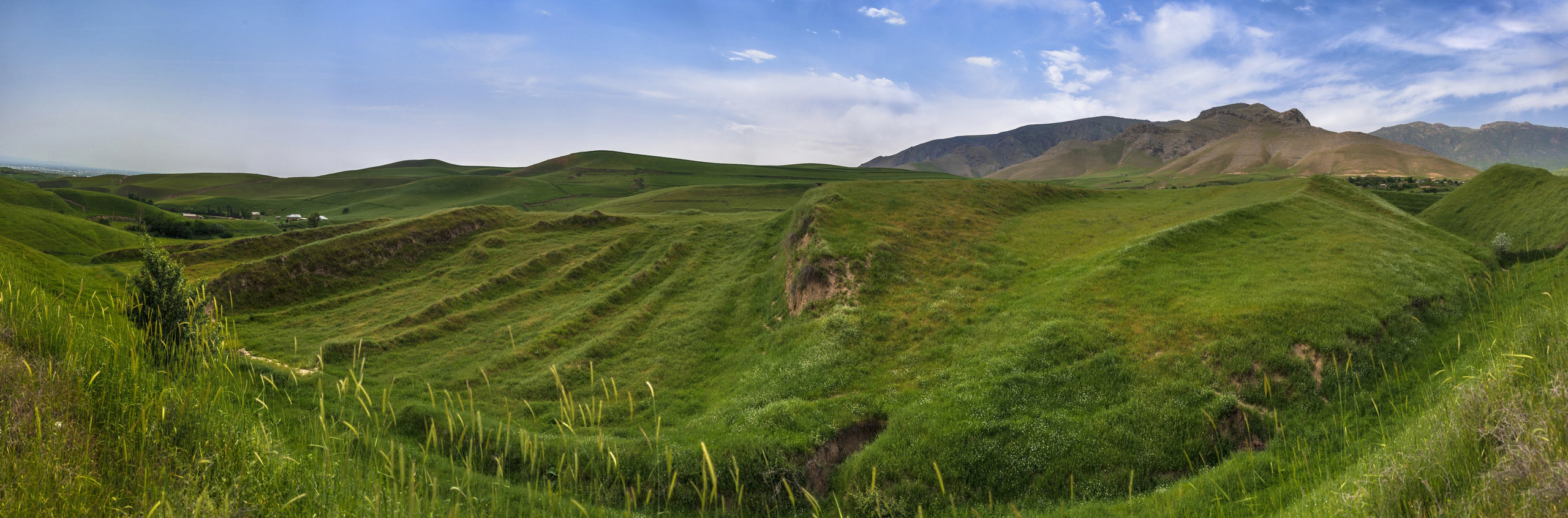 Шахрисабз. Фотограф Лара Кучина