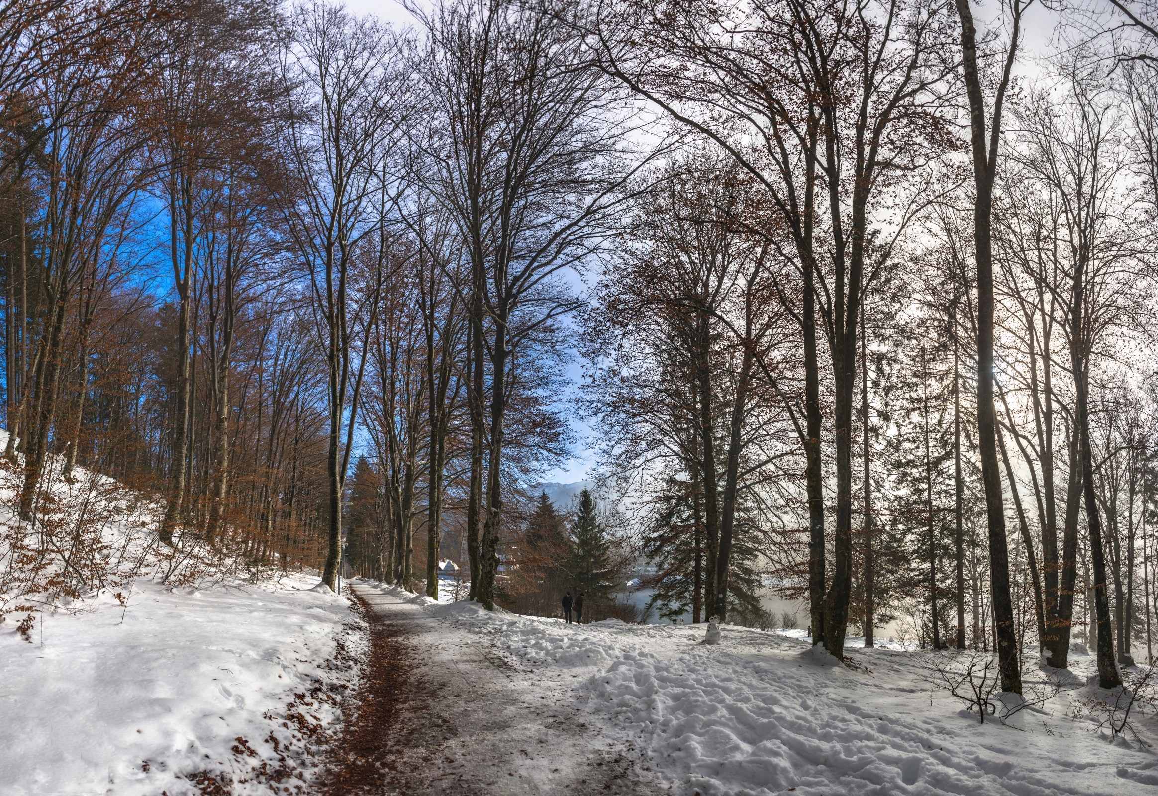 Озеро Бохинь. Фотограф Лара Кучина
