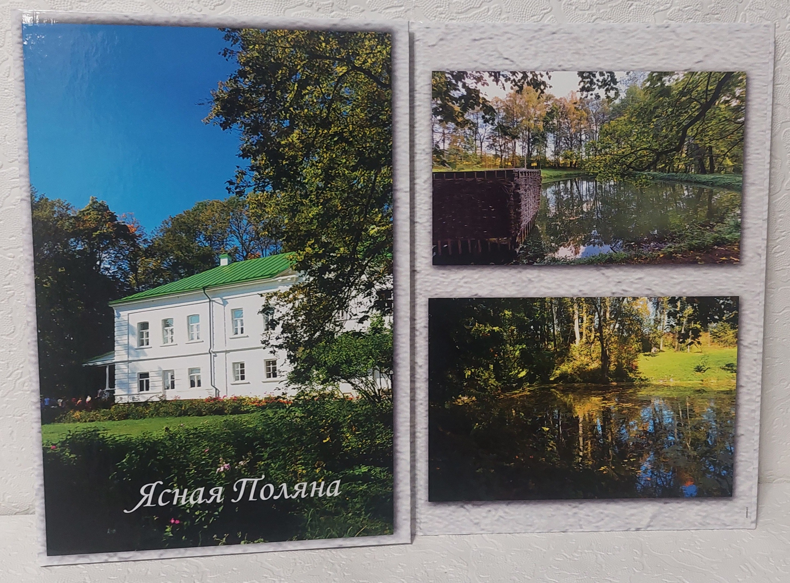 Трюмо. Ясная Поляна. Fotounata.ru