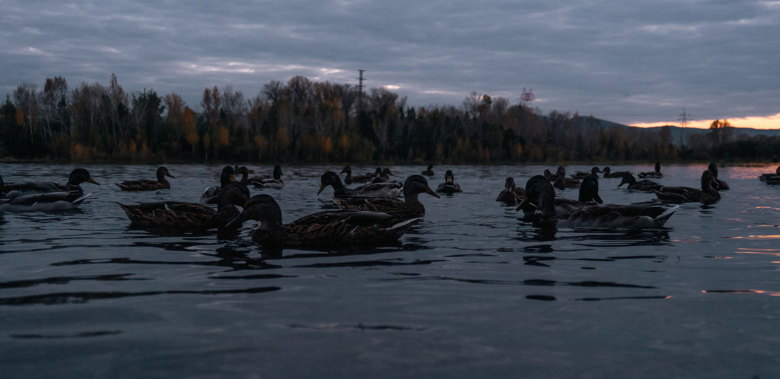 21.09.2025 | Красноярск. Kuznetsov | Фотограф в Красноярске