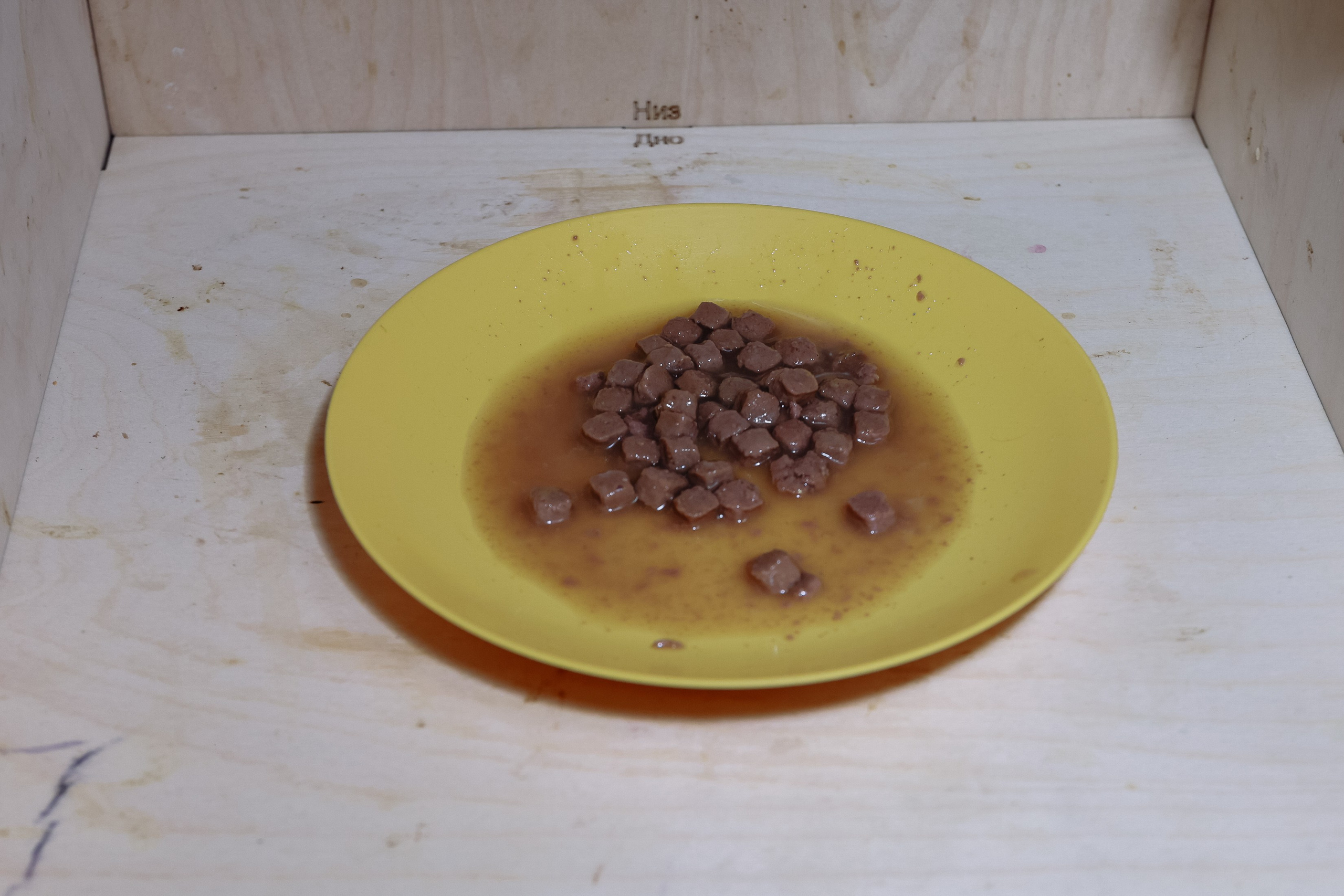 Лофт Пингви дет сад выпуской. Фотограф Юлия Мальцева