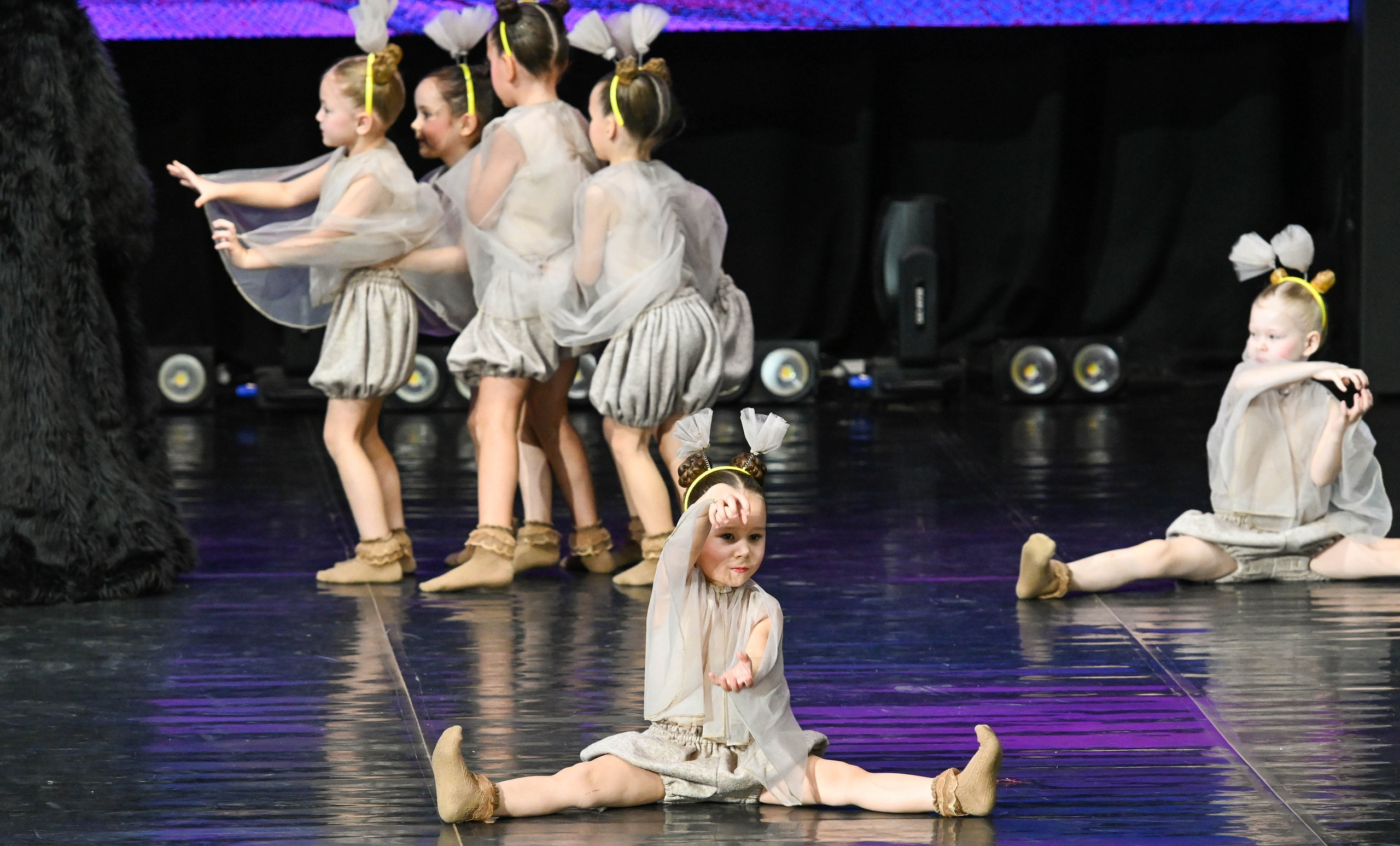 24.11.2024 Фестиваль хореографического искусства «АРТ-КОМПАС. Поволжье» г. Самара. Медиастудия Фото Концепт