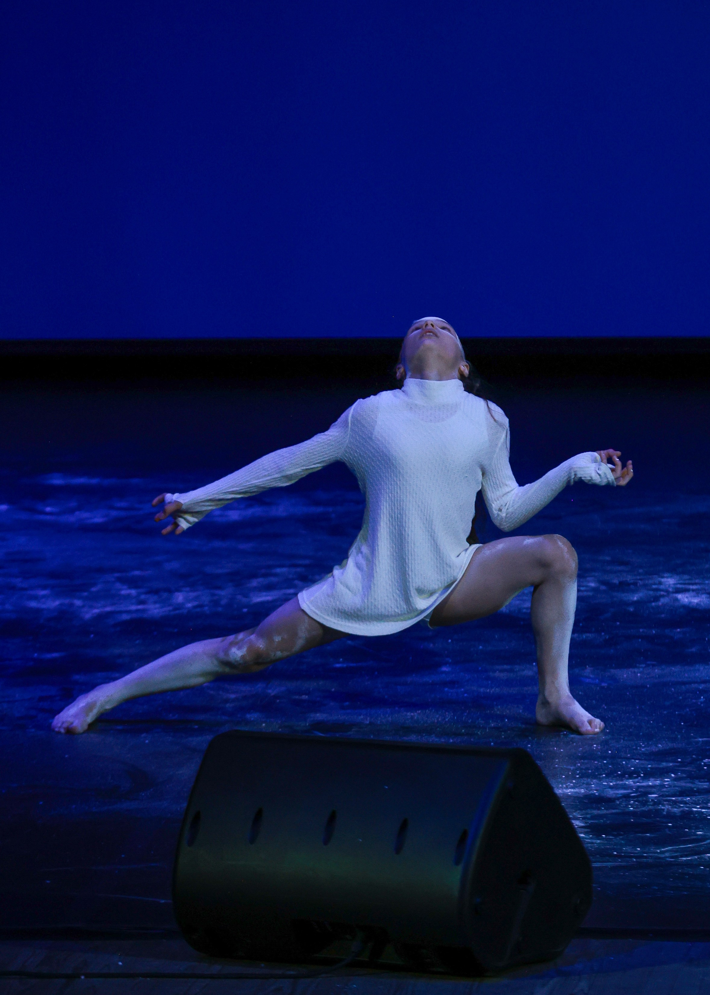 Небесные ласточки на Танц ЭКСПО 2026. Фотограф Юлия Мальцева