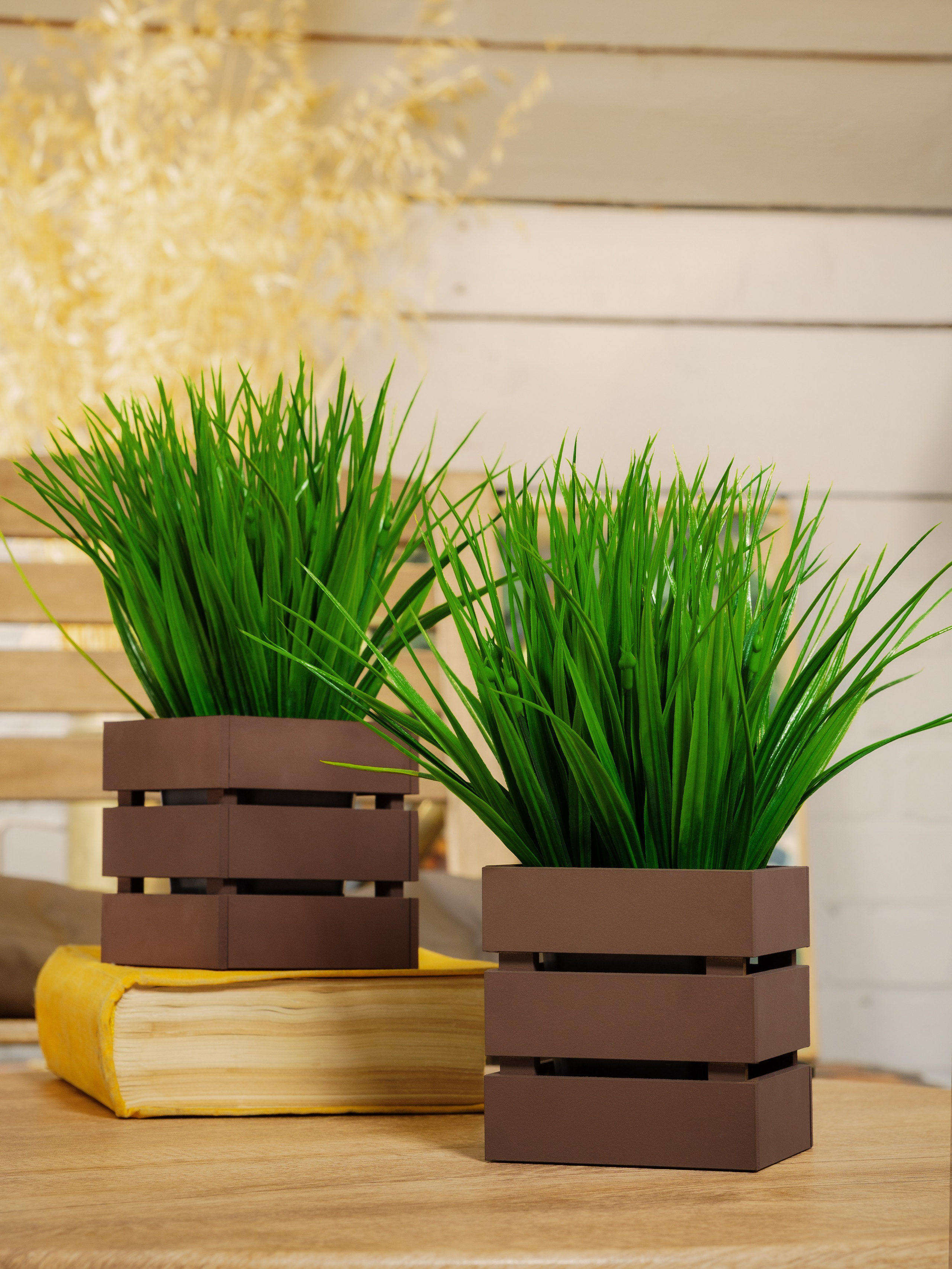 Кашпо. Макаров Сергей|Creamlebot Фотограф города Ростов-на-Дону