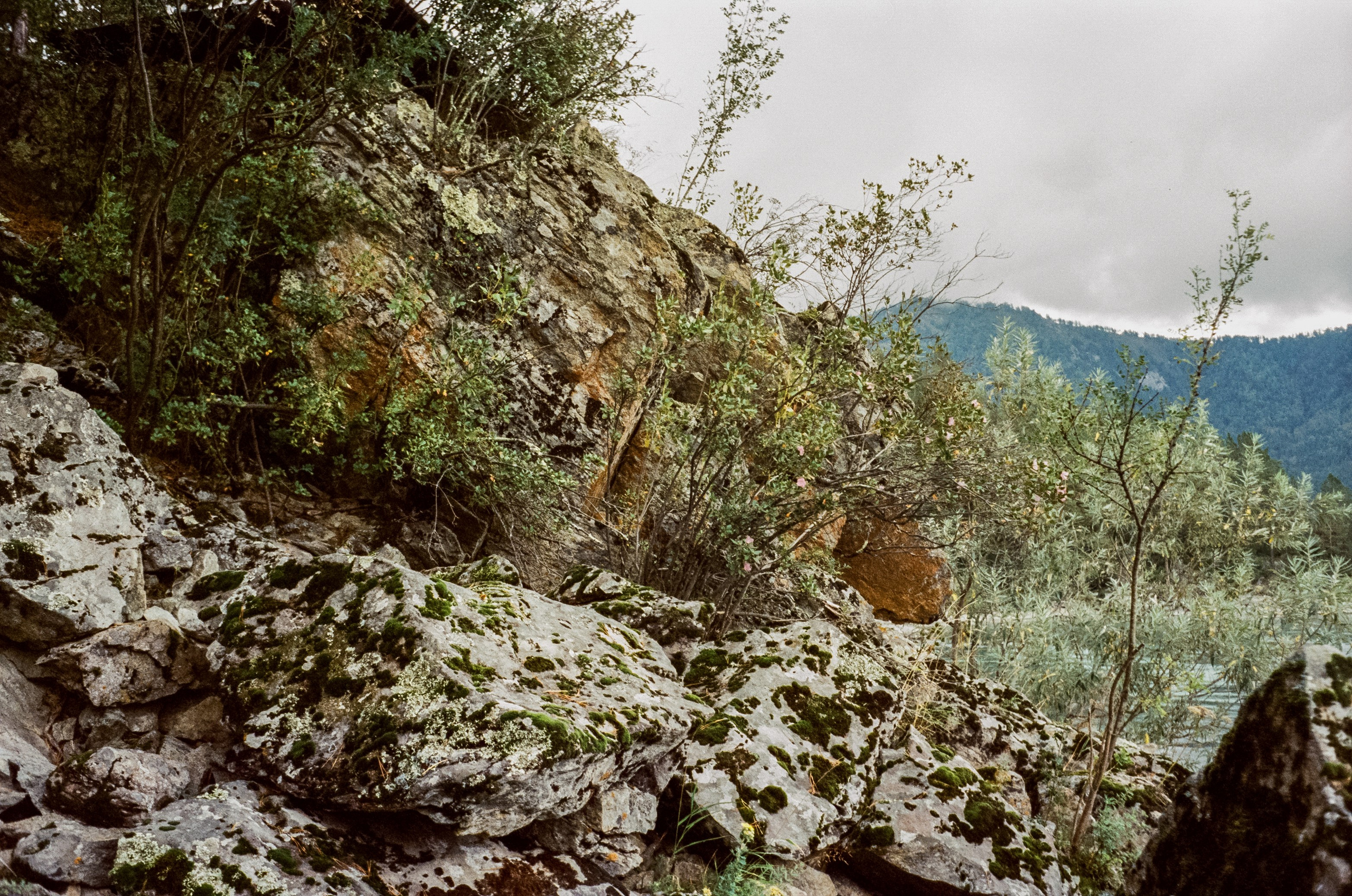 Minox 35GT примеры фотографий на пленку