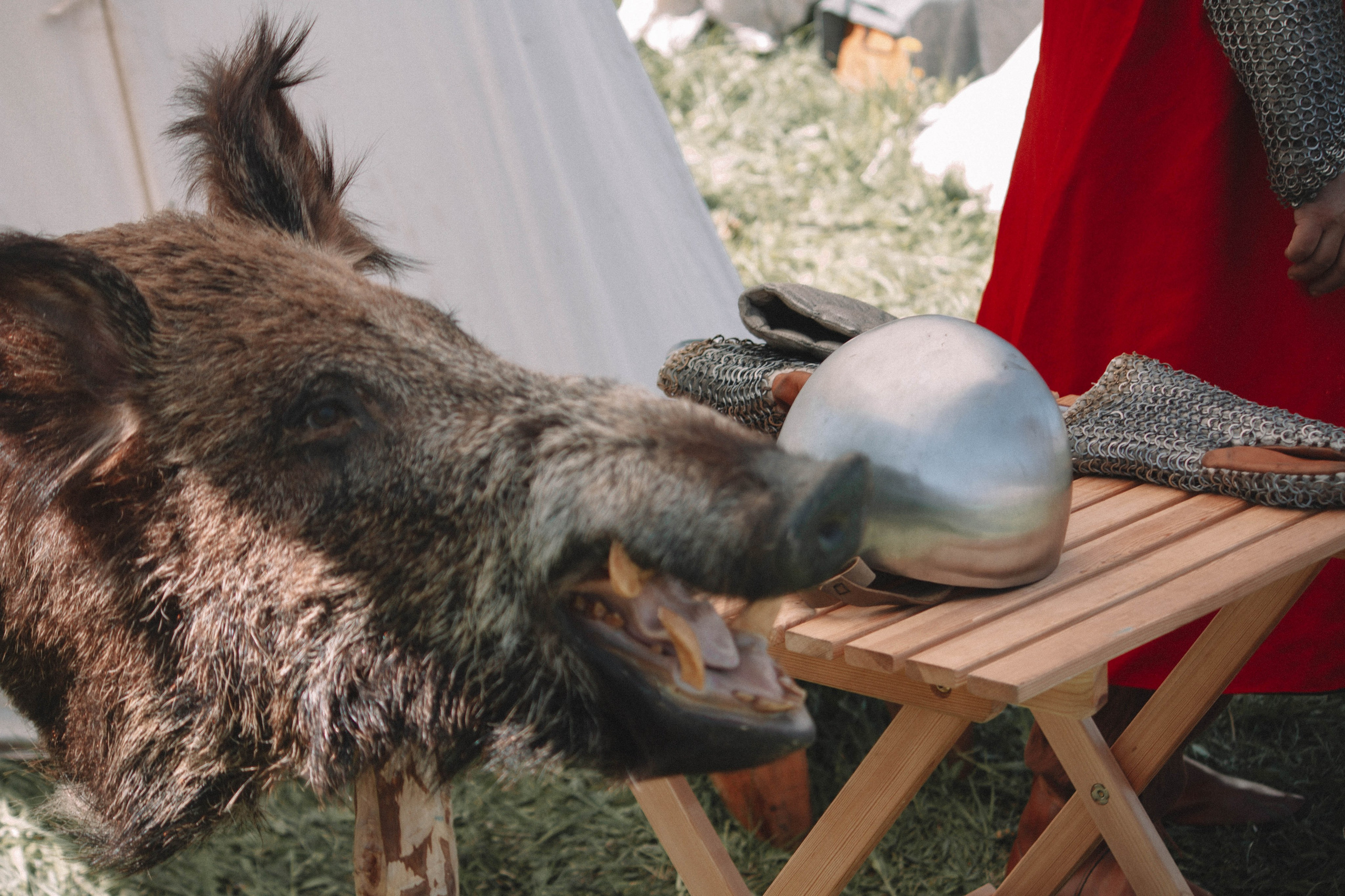 СТАРАЯ ЛАДОГА — Историко-культурный фестиваль. Создадим шедевр? Виталина и её фотоискусство