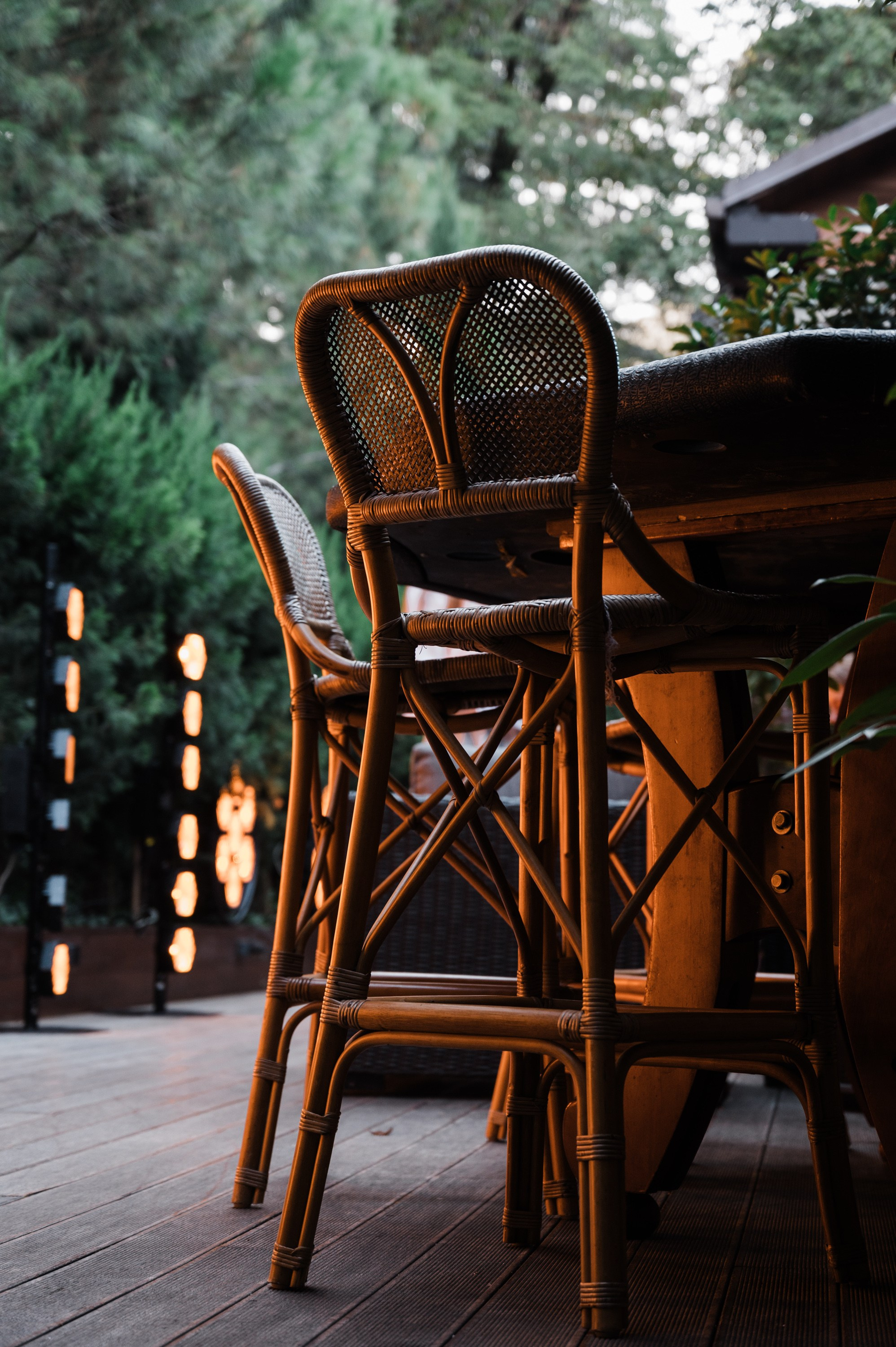 Репортажный фотограф на корпоратив и другие мероприятия. Свадебный и семейный фотограф в Краснодаре Марина Стёпа