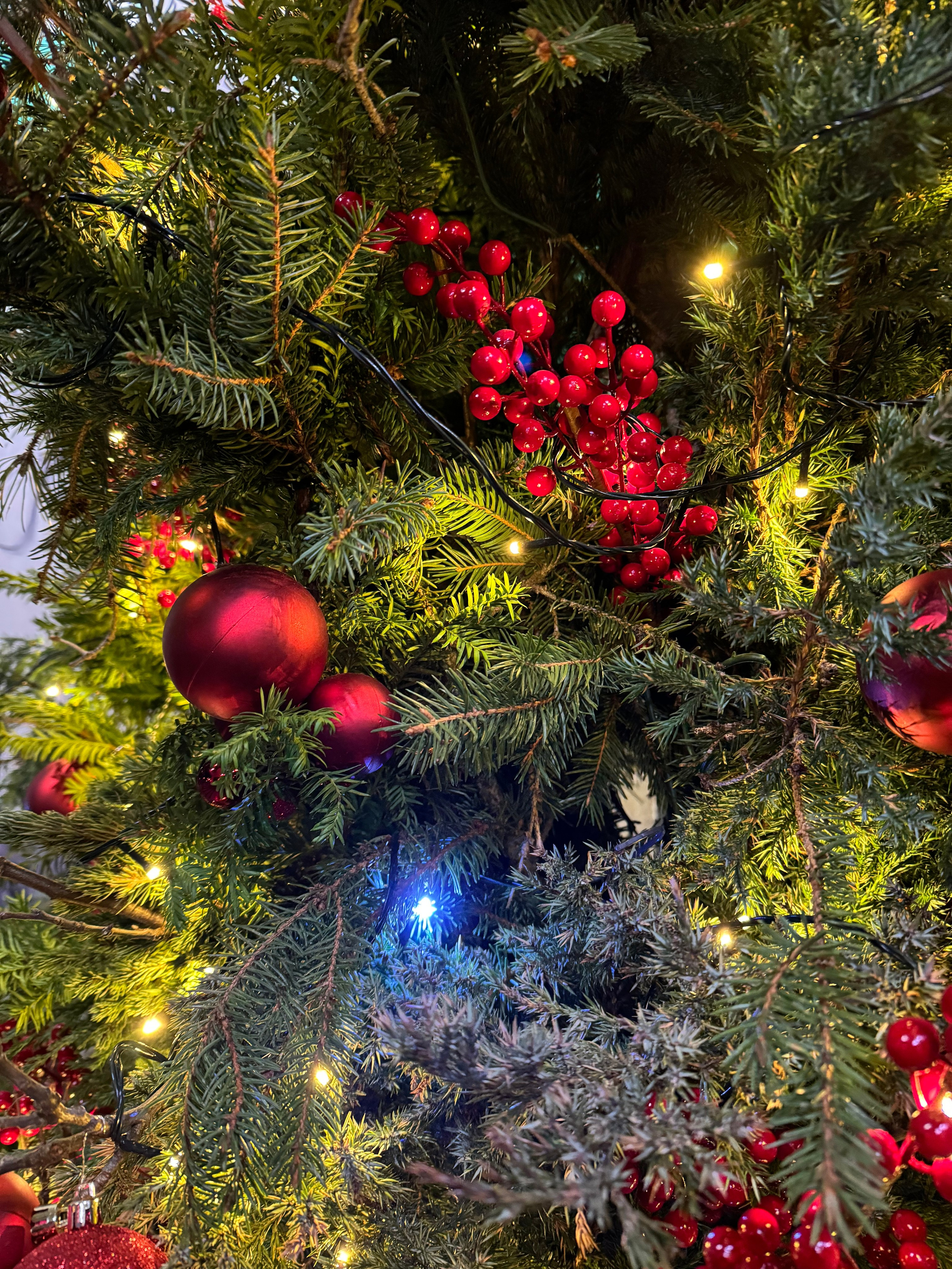 Входные группы ЗИМА. Декоратор в Минске Алёна Шевелёва. Оформление входных групп осень/зима. Декор заведений