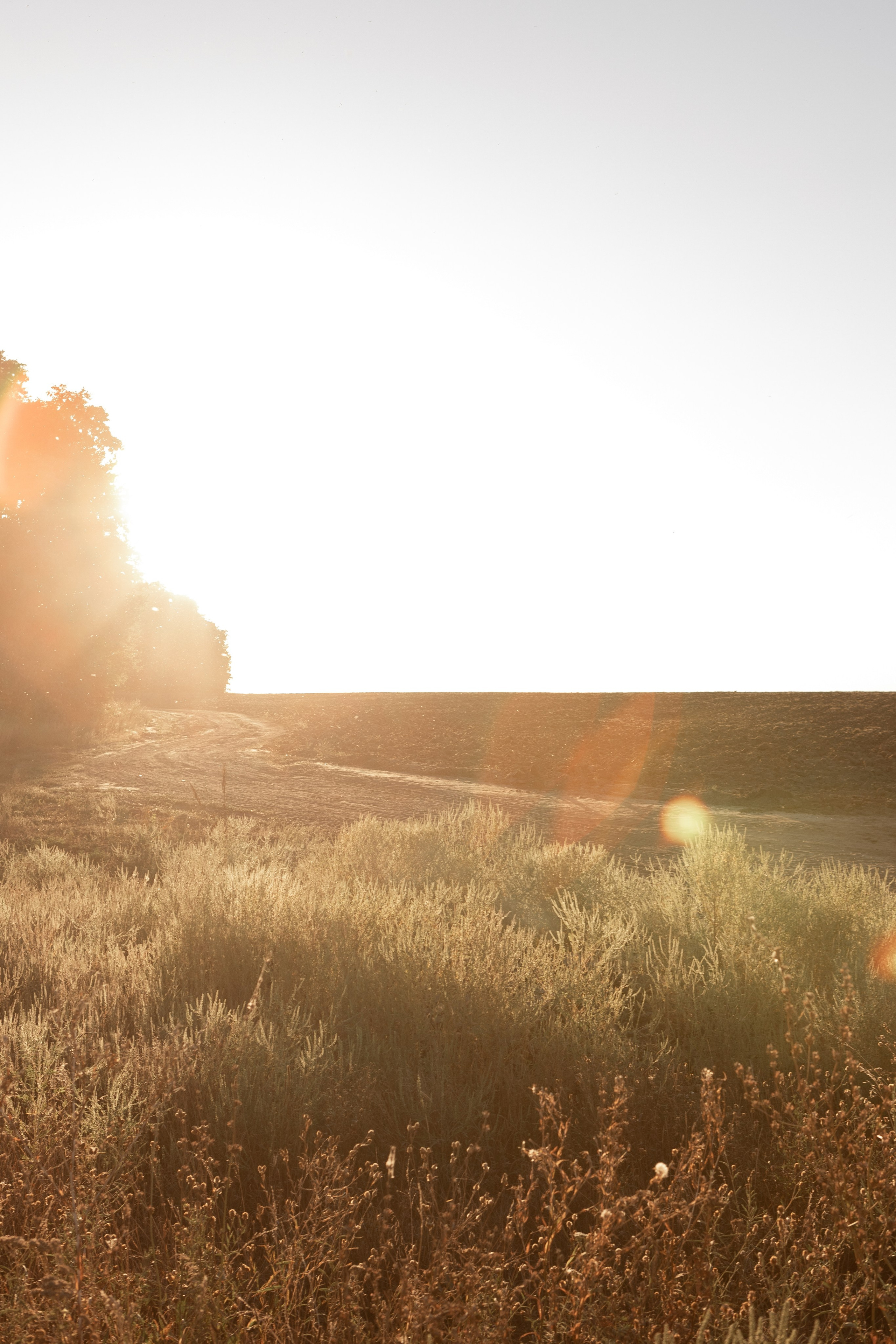 Саша и Виталия. Свадебный фотограф в Воронеже Вероника Богай