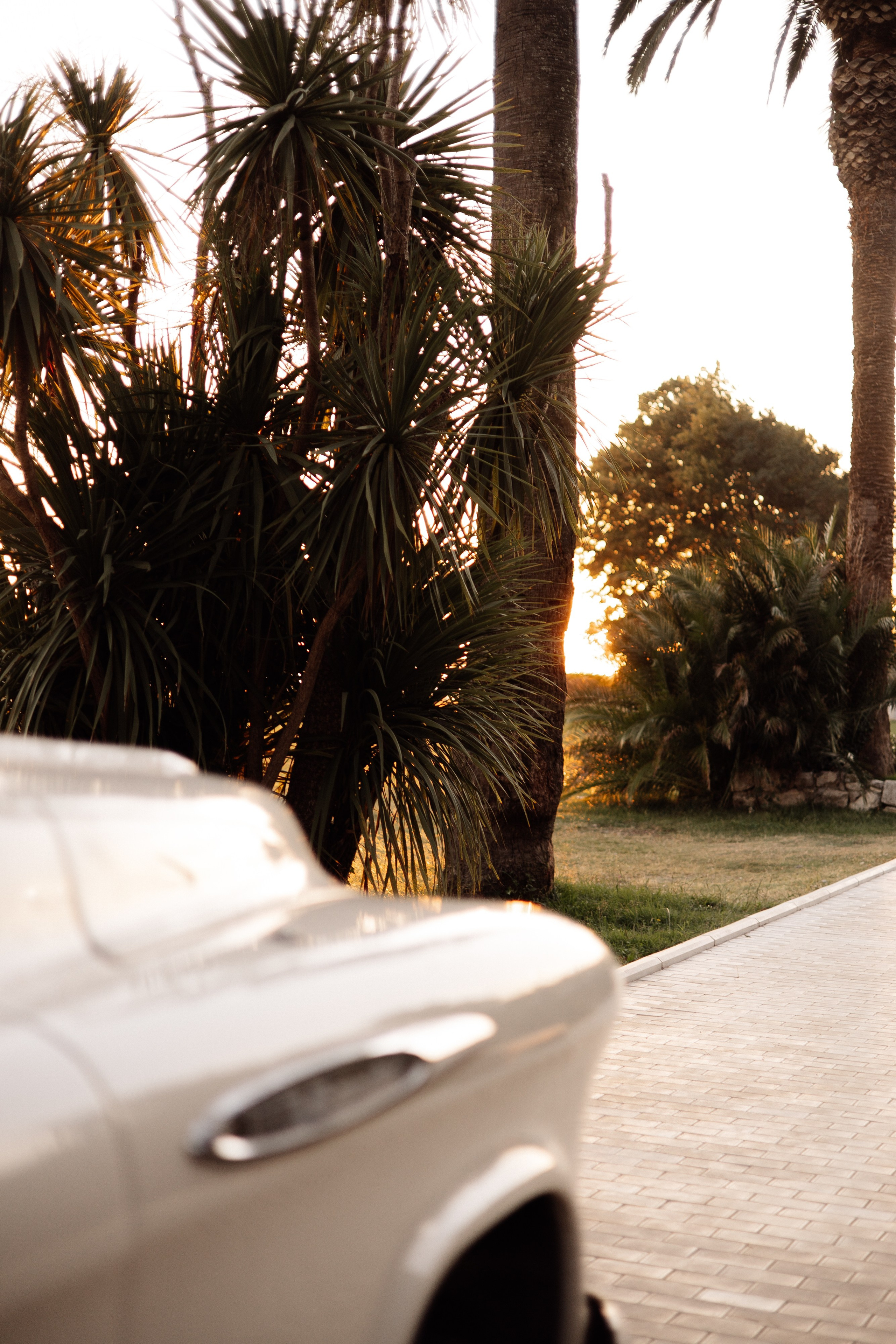 Рита (Абхазия). Семейный свадебный фотограф Семен Егоров