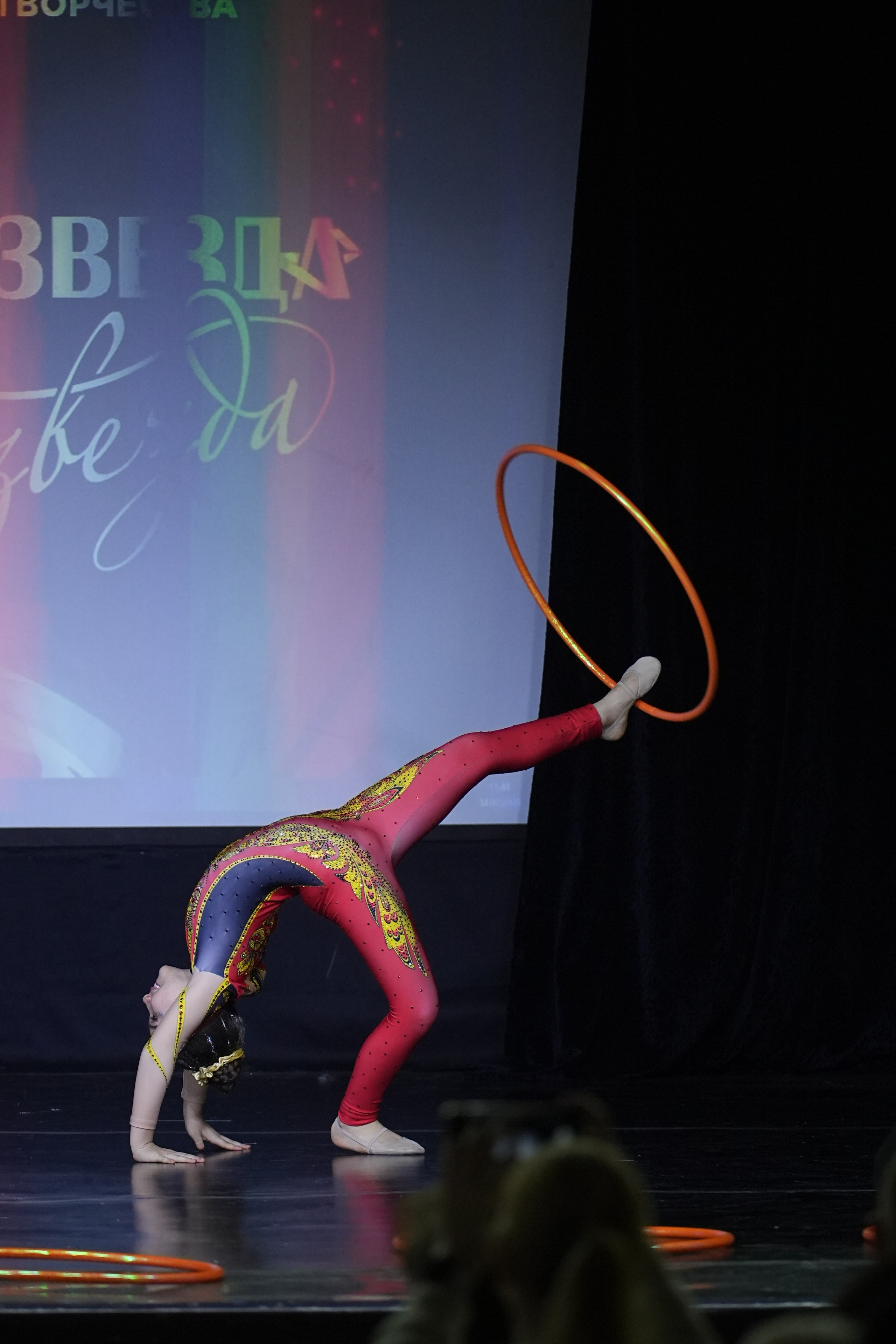 14 февраля, г. Москва. Золотое яблочко