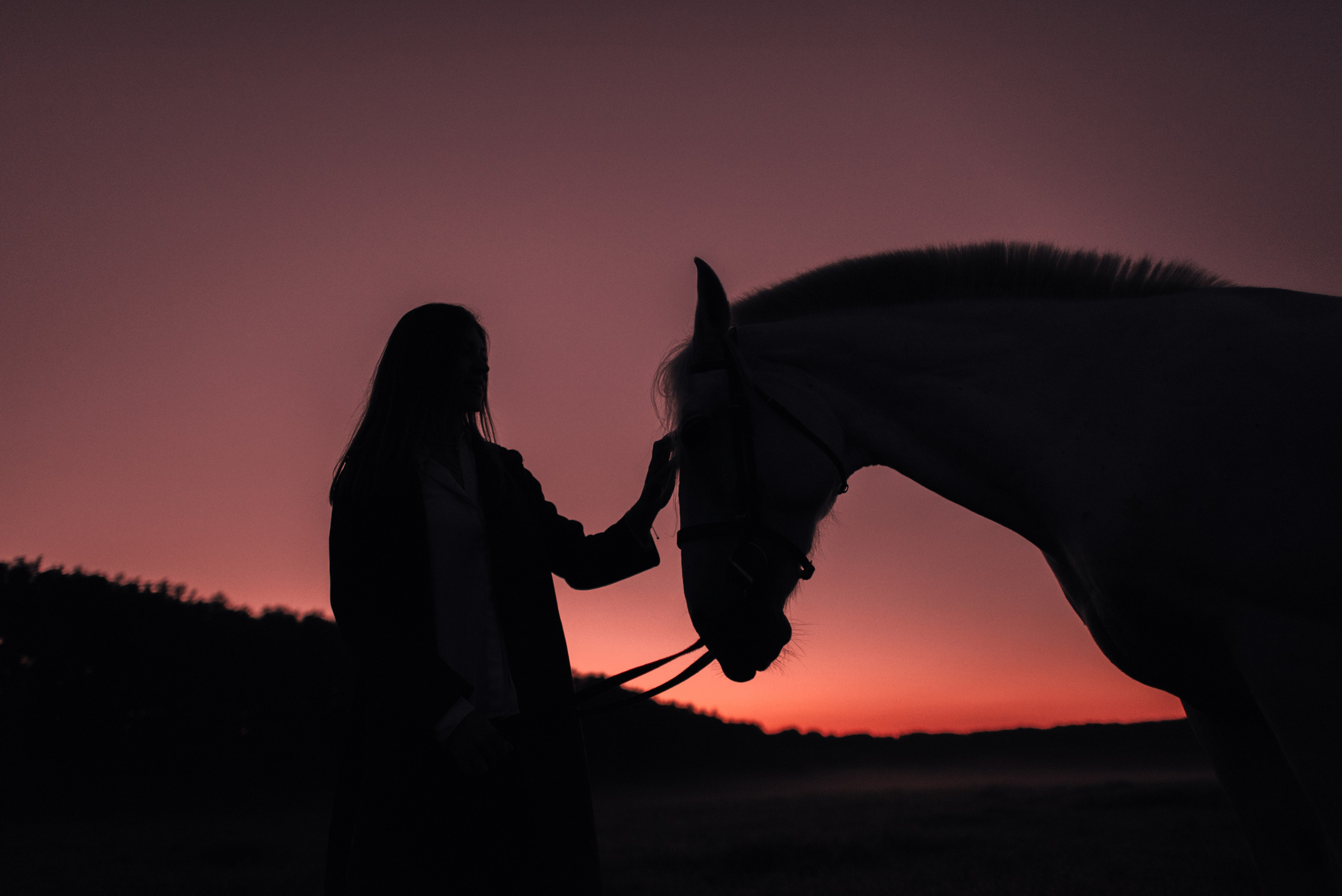 Конное: рассвет на поле с Лерой и Златой. Портфолио