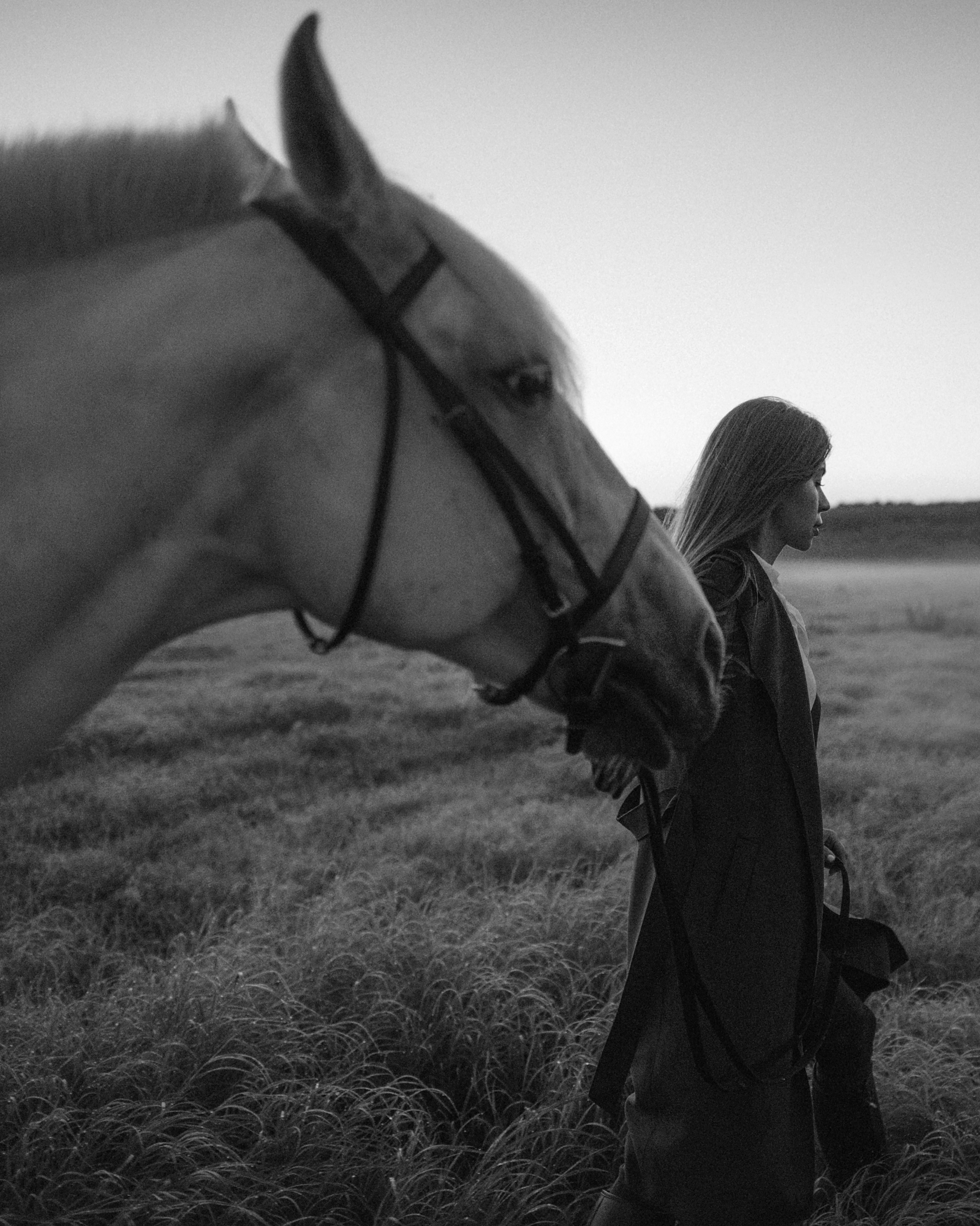 Конное: рассвет на поле с Лерой и Златой. Портфолио