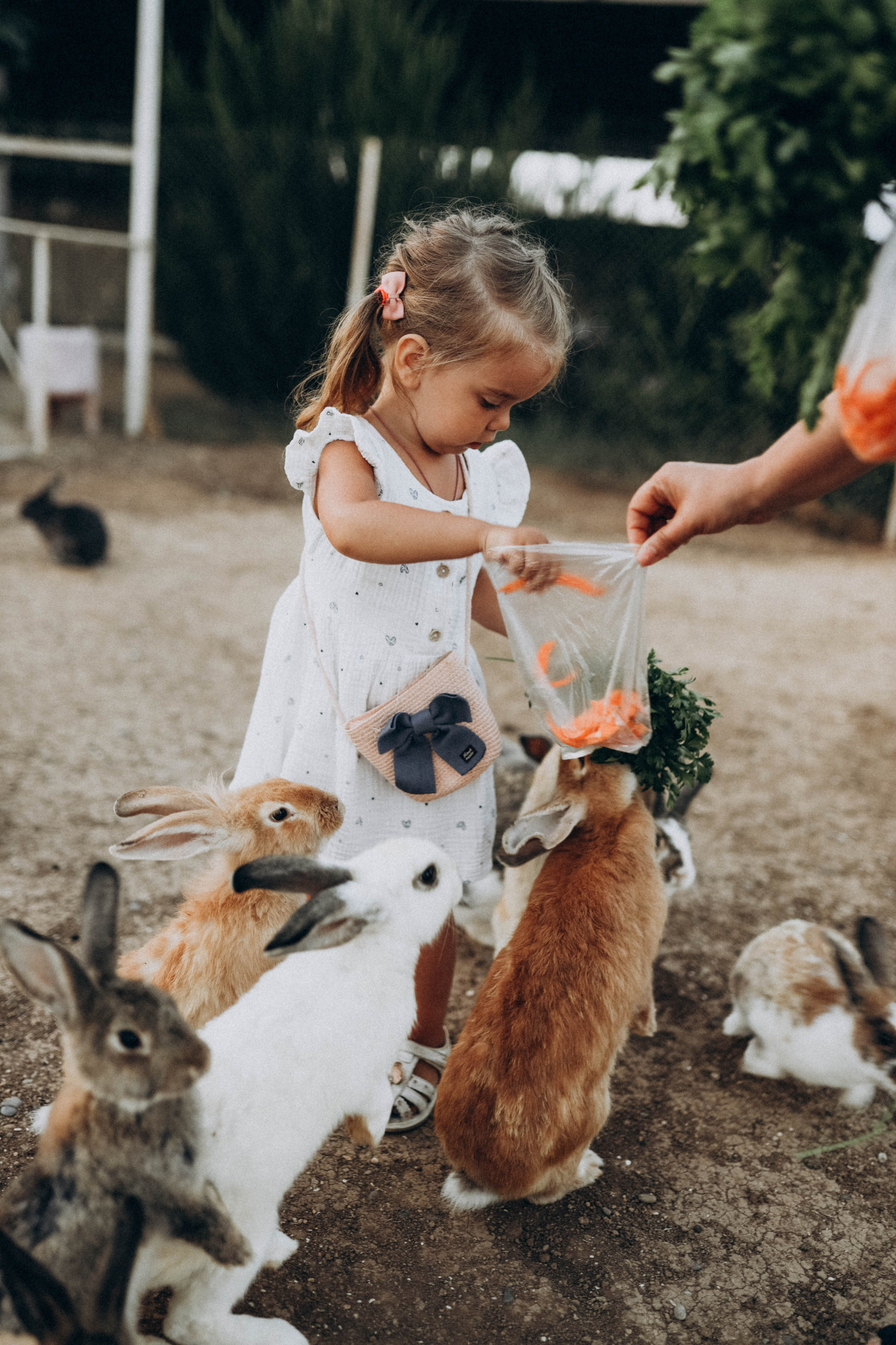 Кроликпарк 🐇. Индивидуальные и семейные съемки в Евпатории, Крыму Немировченко Анна