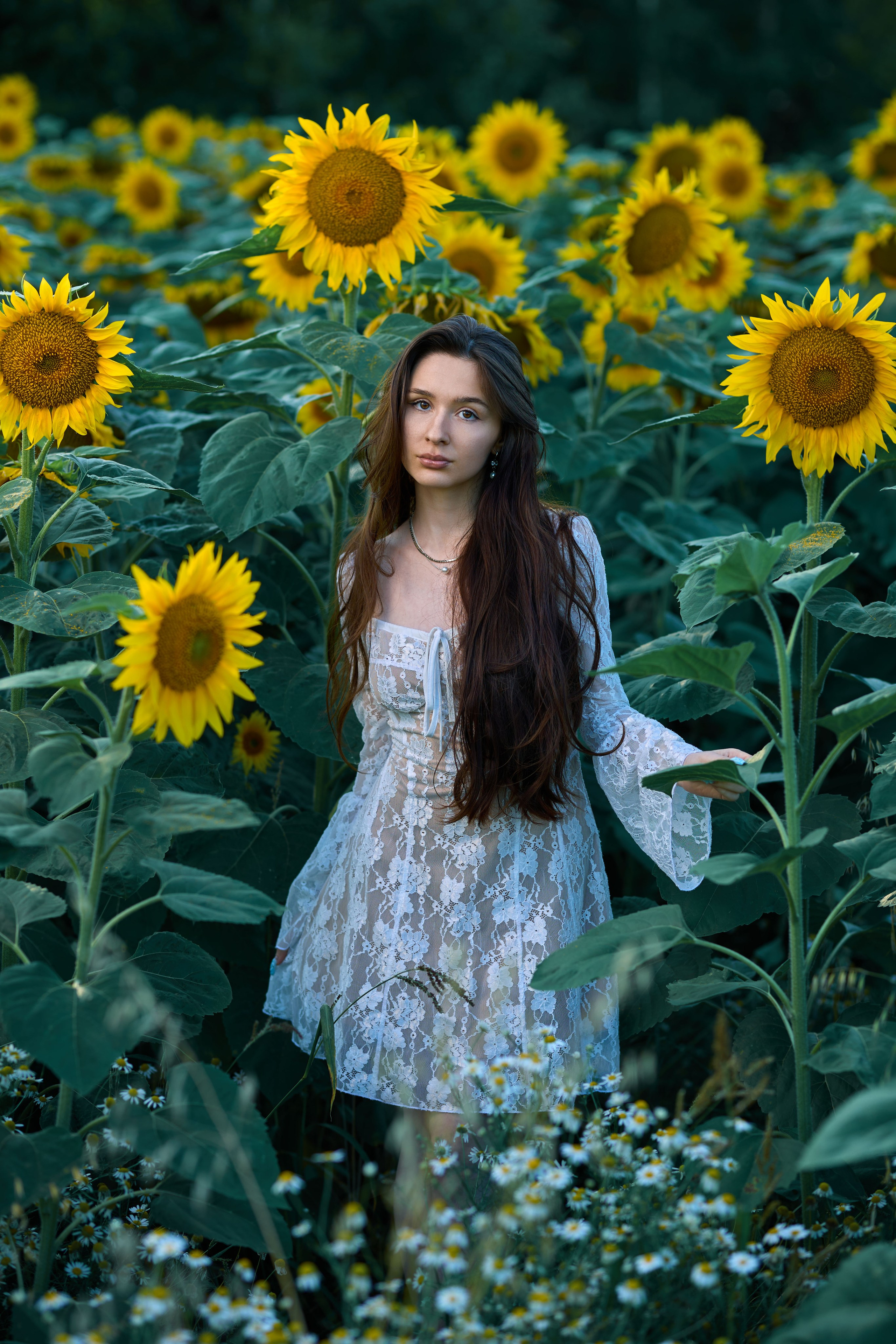 Фотосессия в подсолнухах 2. Владимир Суздалов (ProMaXe) — Портретный фотограф, тематические фотосессии в Чебоксарах