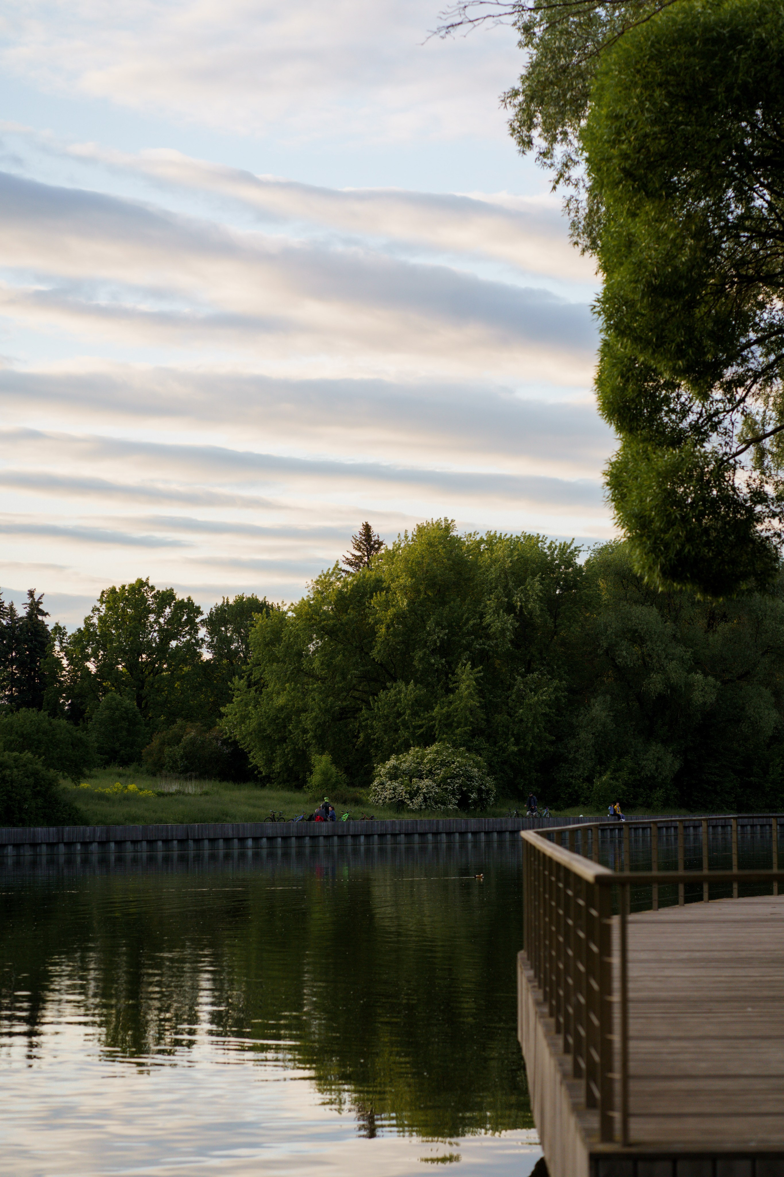Катя, Арсений и Пух. Свадебный фотограф в Москве Анна Полушина