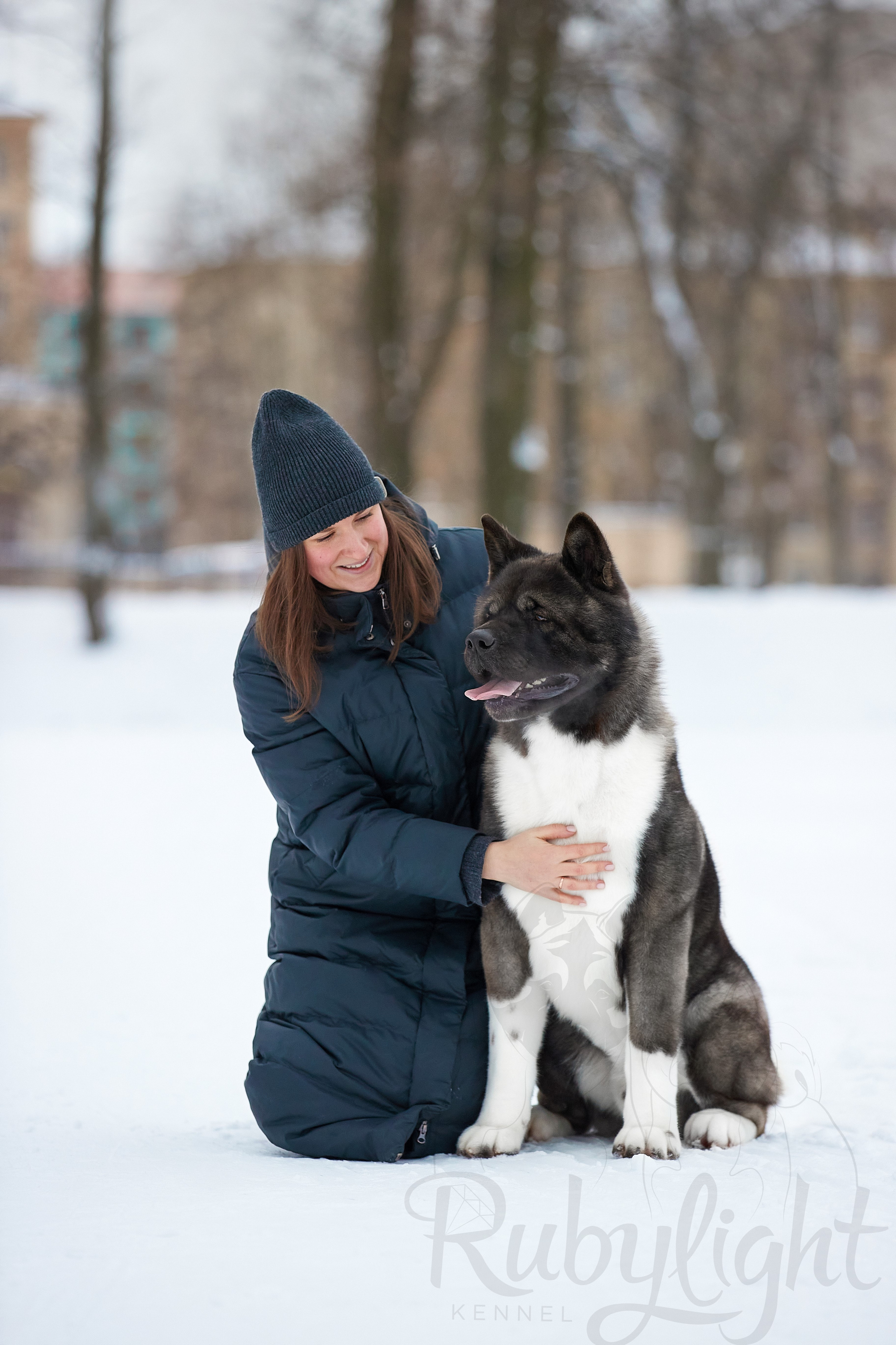 МЭР * Alter Real Mercury американская акита рубилайт rubylight акита вязка щенки