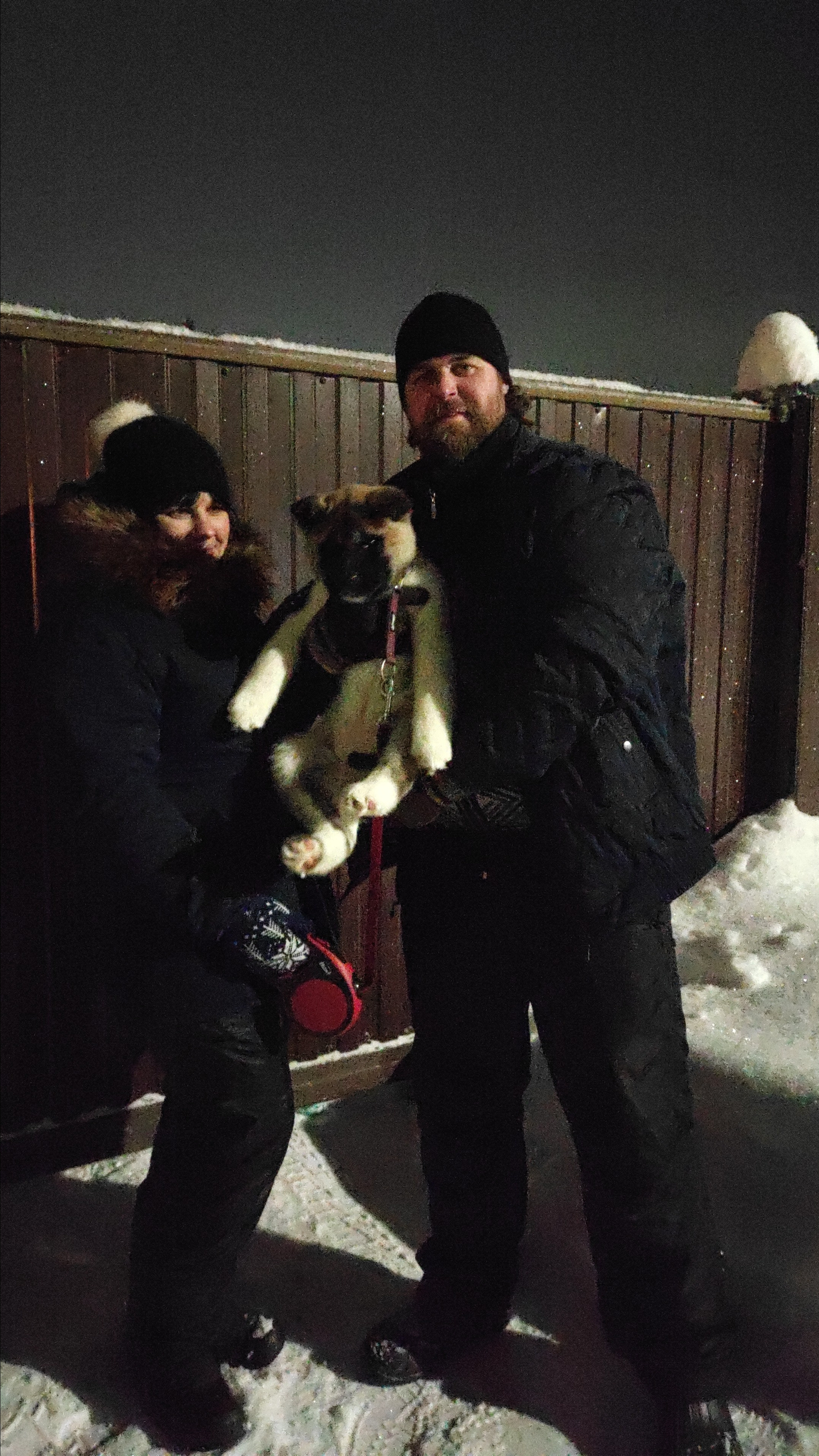 RUBYLIGHT MOLNIYA, Дата рождения 03.10.2021Мама DANCING QUEEN Папа NATIVEBEAR LEGION MAN , щенки Американская Акита RUBYLIGHT питомник Санкт-Петербург