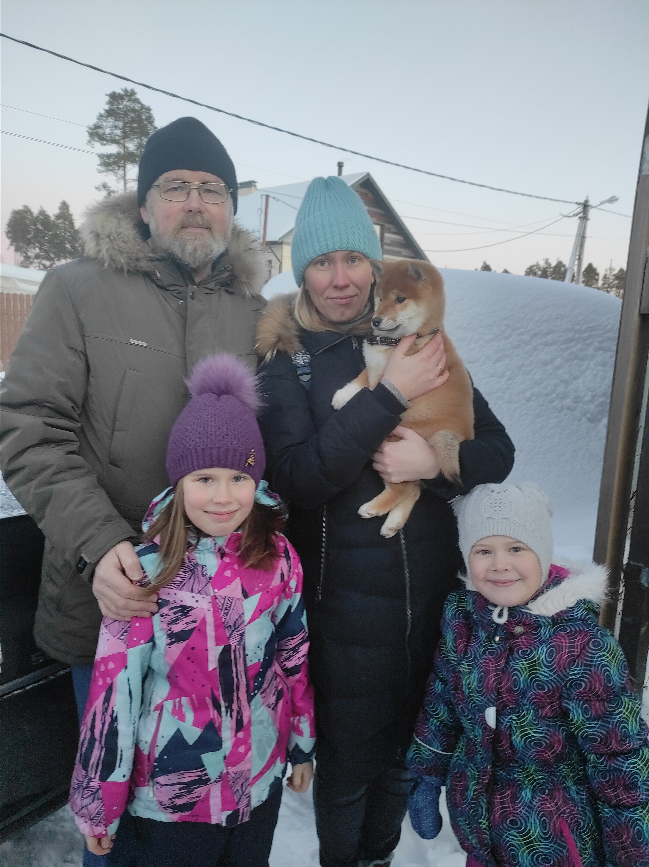 Сиба питомник RUBYLIGHT. Американская акита I Сиба ину I Питомник RUBYLIGHT