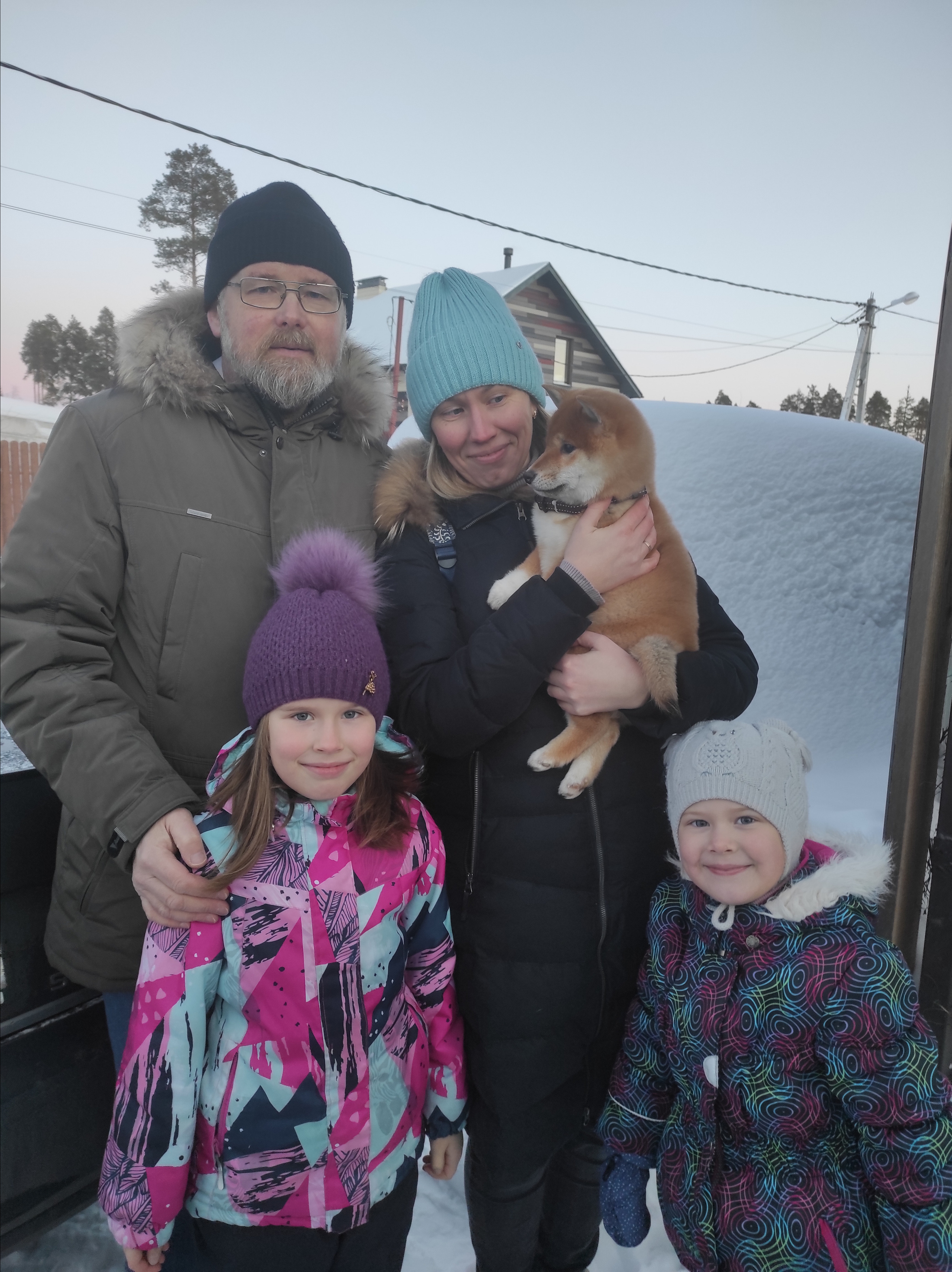 Сиба питомник RUBYLIGHT. Американская акита I Сиба ину I Питомник RUBYLIGHT