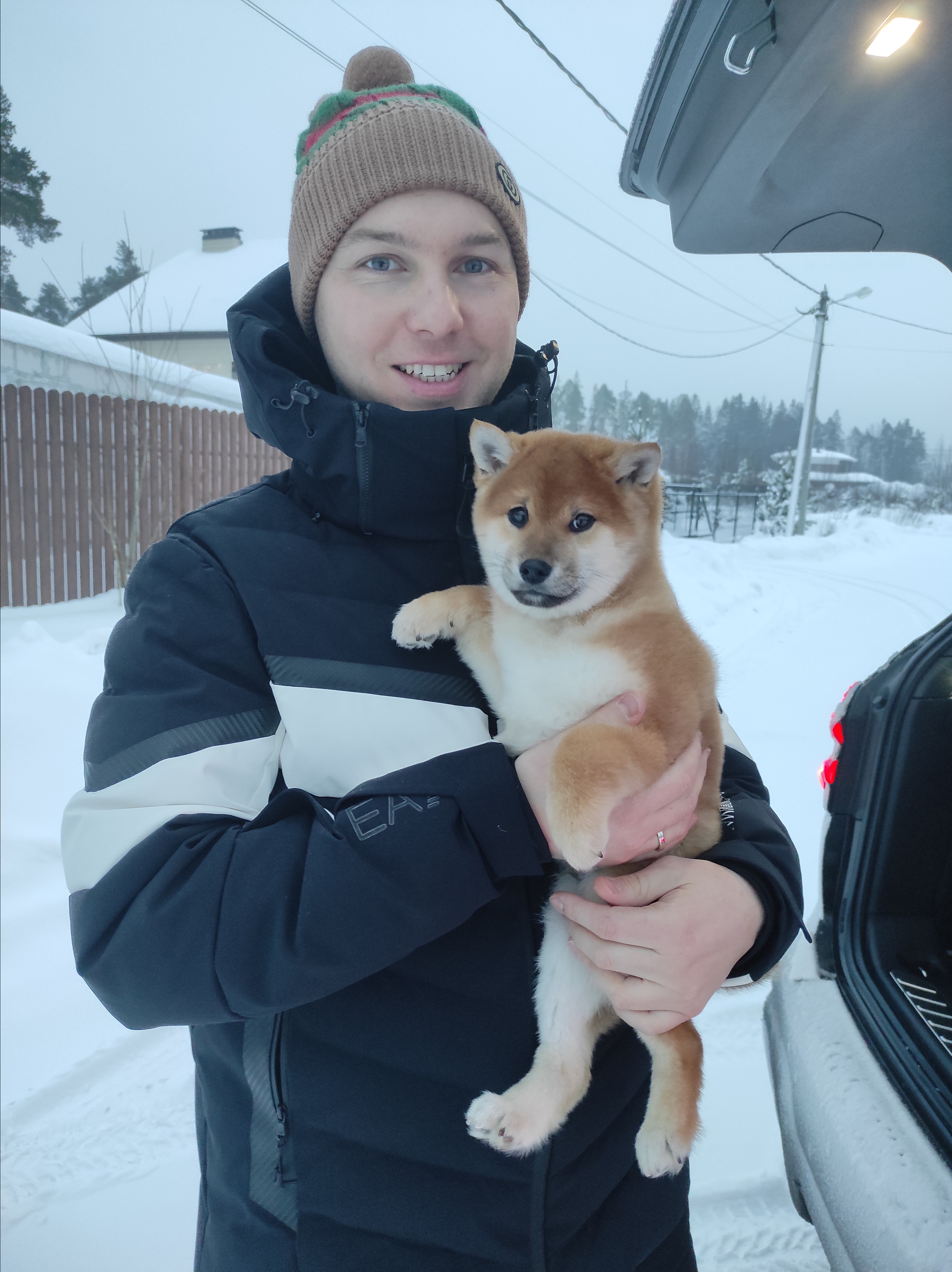 Rubylight Lucky. AMERICAN AKITA RUBYLIGHT KENNEL I SHIBA-INU