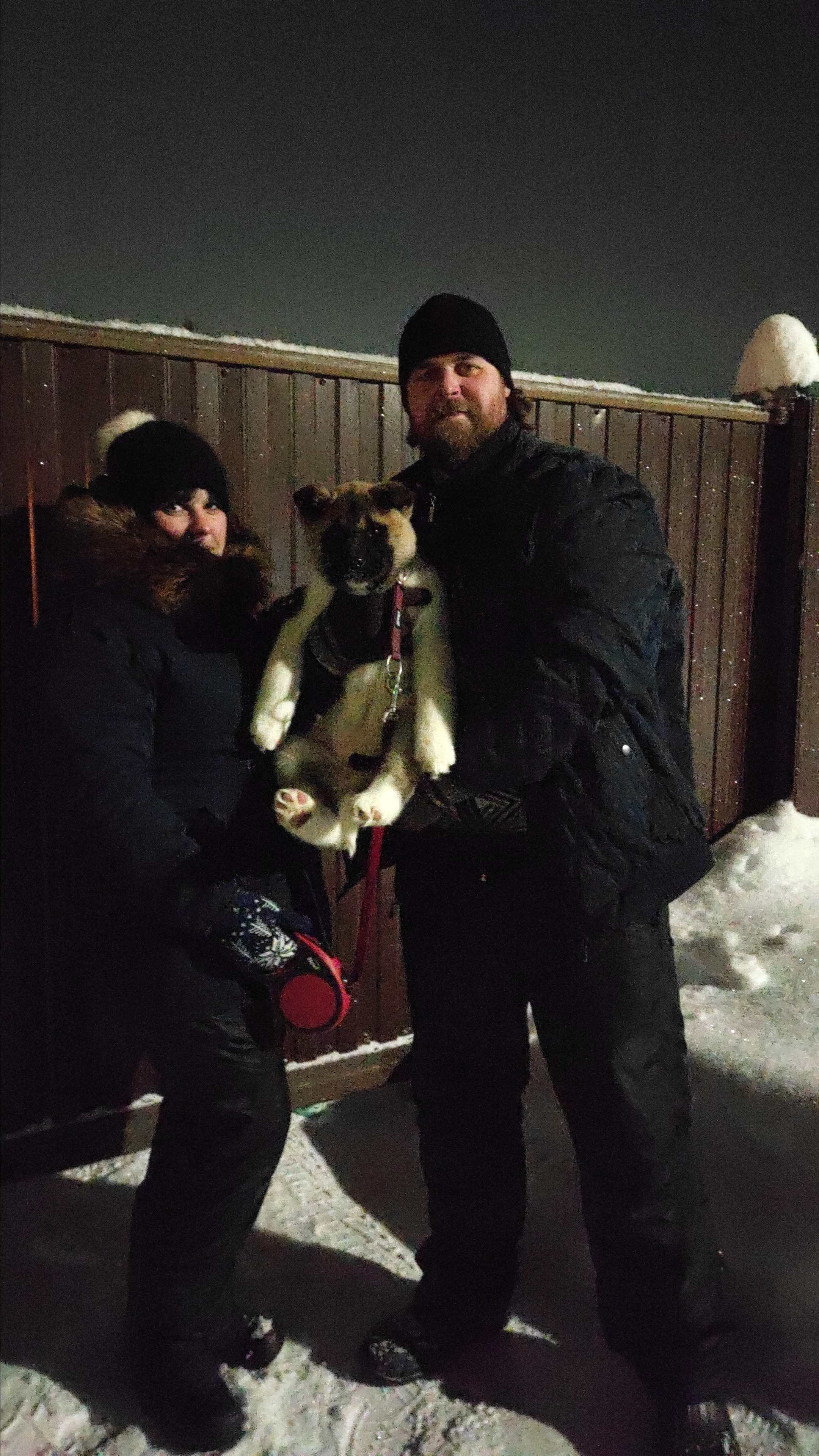 RUBYLIGHT MOLNIYA, Дата рождения 03.10.2021Мама DANCING QUEEN Папа NATIVEBEAR LEGION MAN , щенки Американская Акита RUBYLIGHT питомник Санкт-Петербург