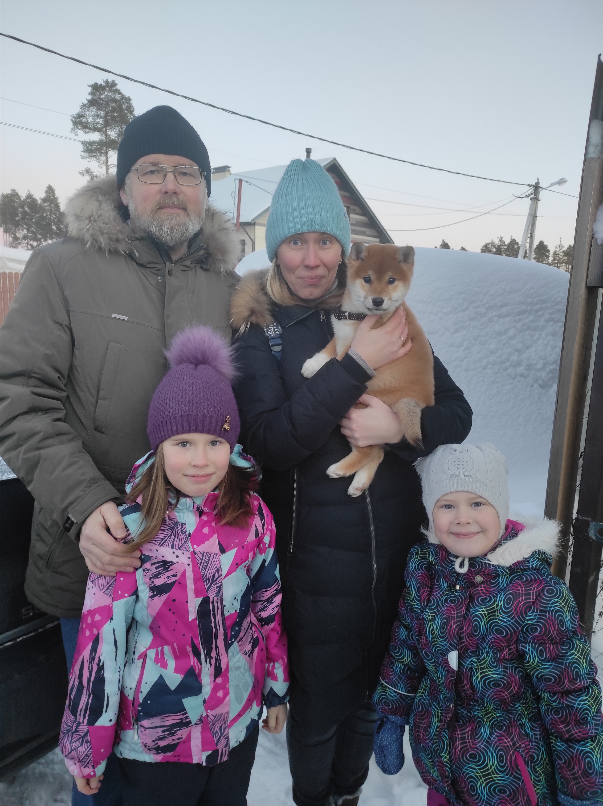 Сиба питомник RUBYLIGHT. Американская акита I Сиба ину I Питомник RUBYLIGHT