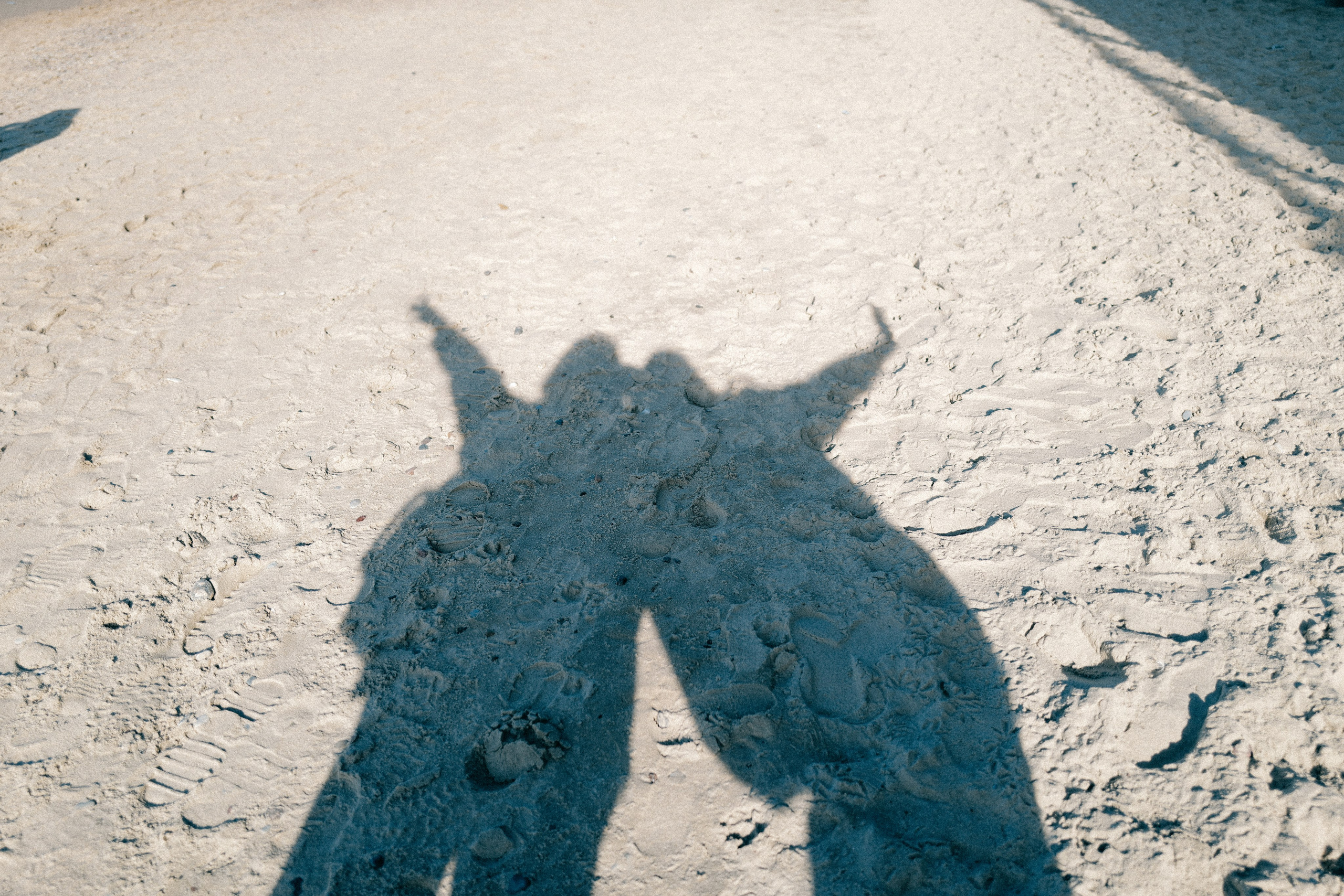 Zelenogradsk. Фотограф София Комкина