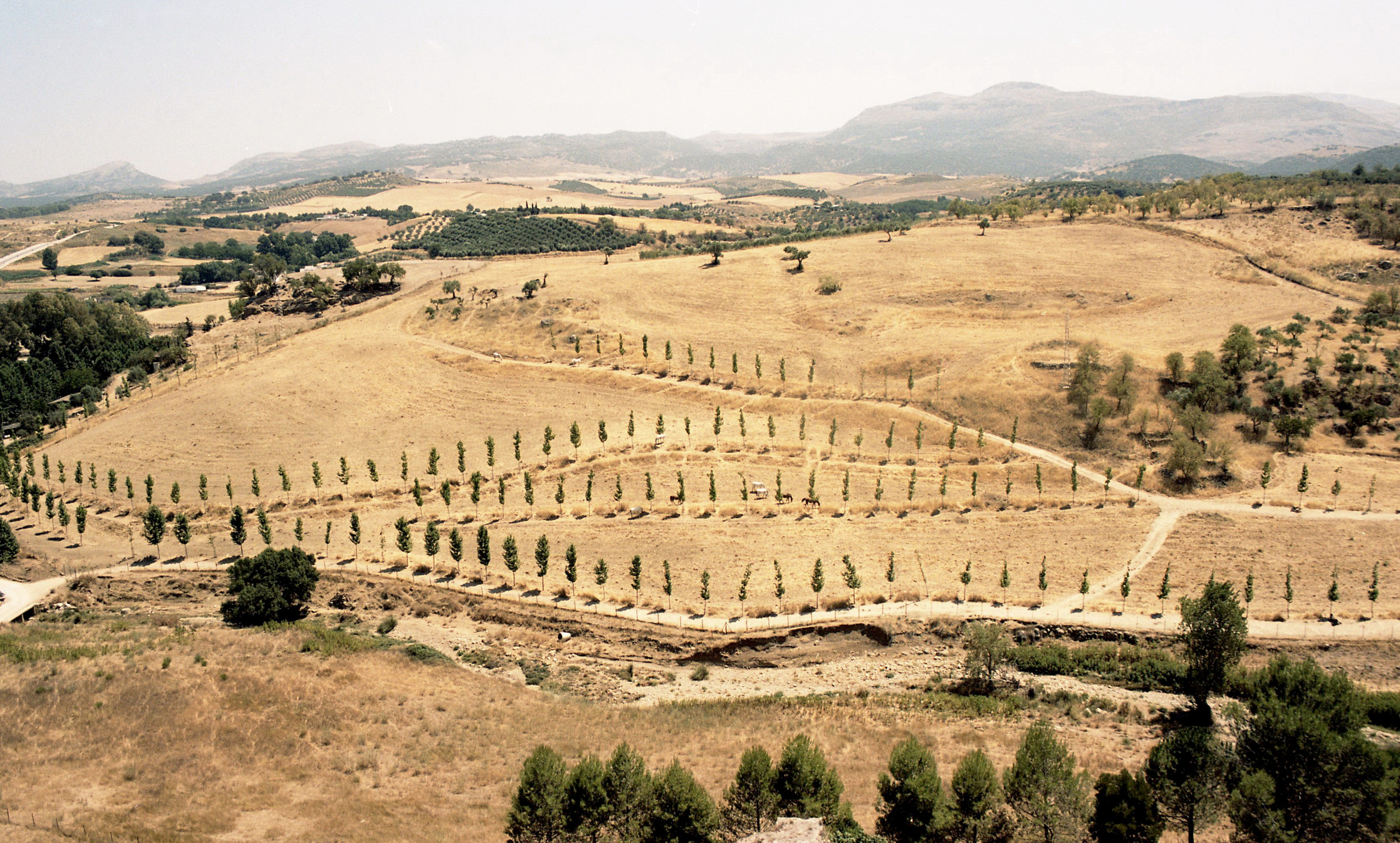 Испания, Андалусия. Елена Никитина. Фотохудожник. Пленочная фотография. Принты
