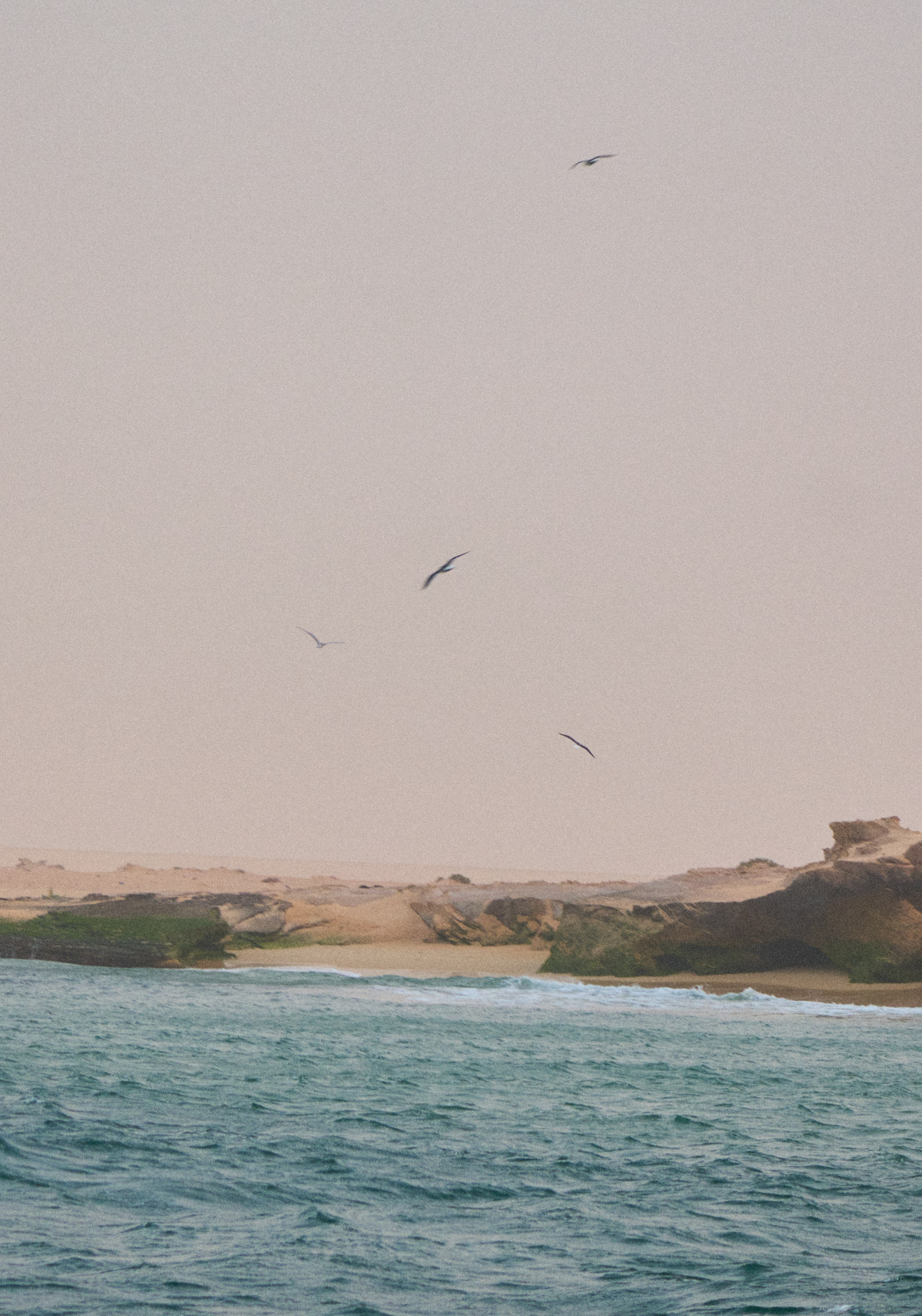 Morocco-Gambia. See the moment and catche. commercial and reportage