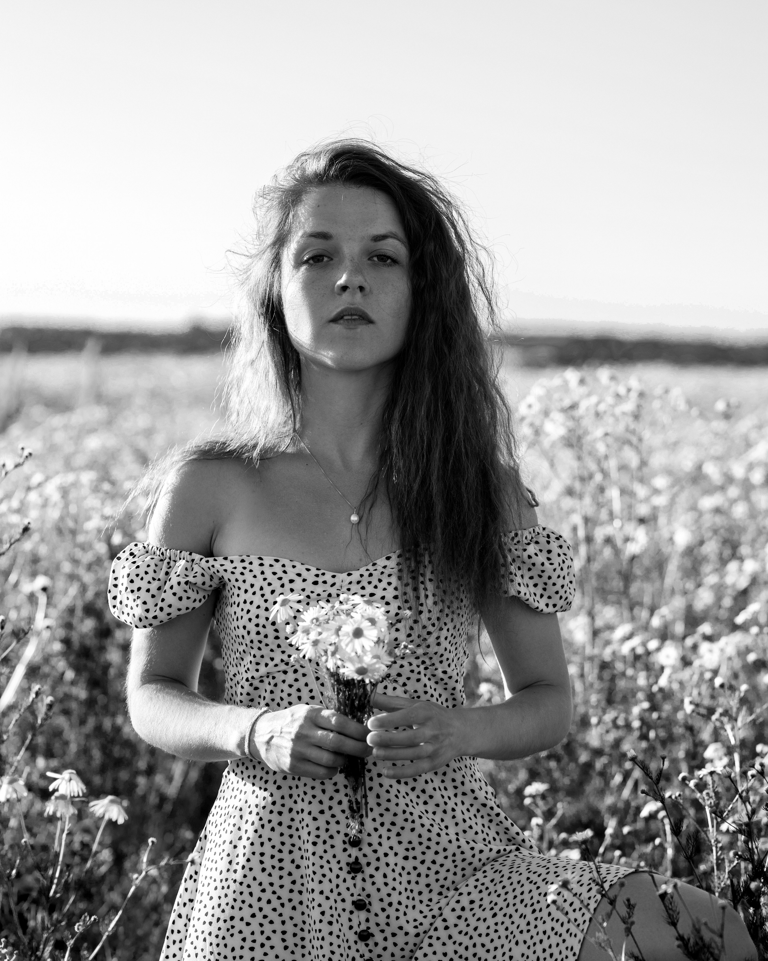 ЧБ ромашки. Портретный фотограф Екатерина Лысенко, Москва