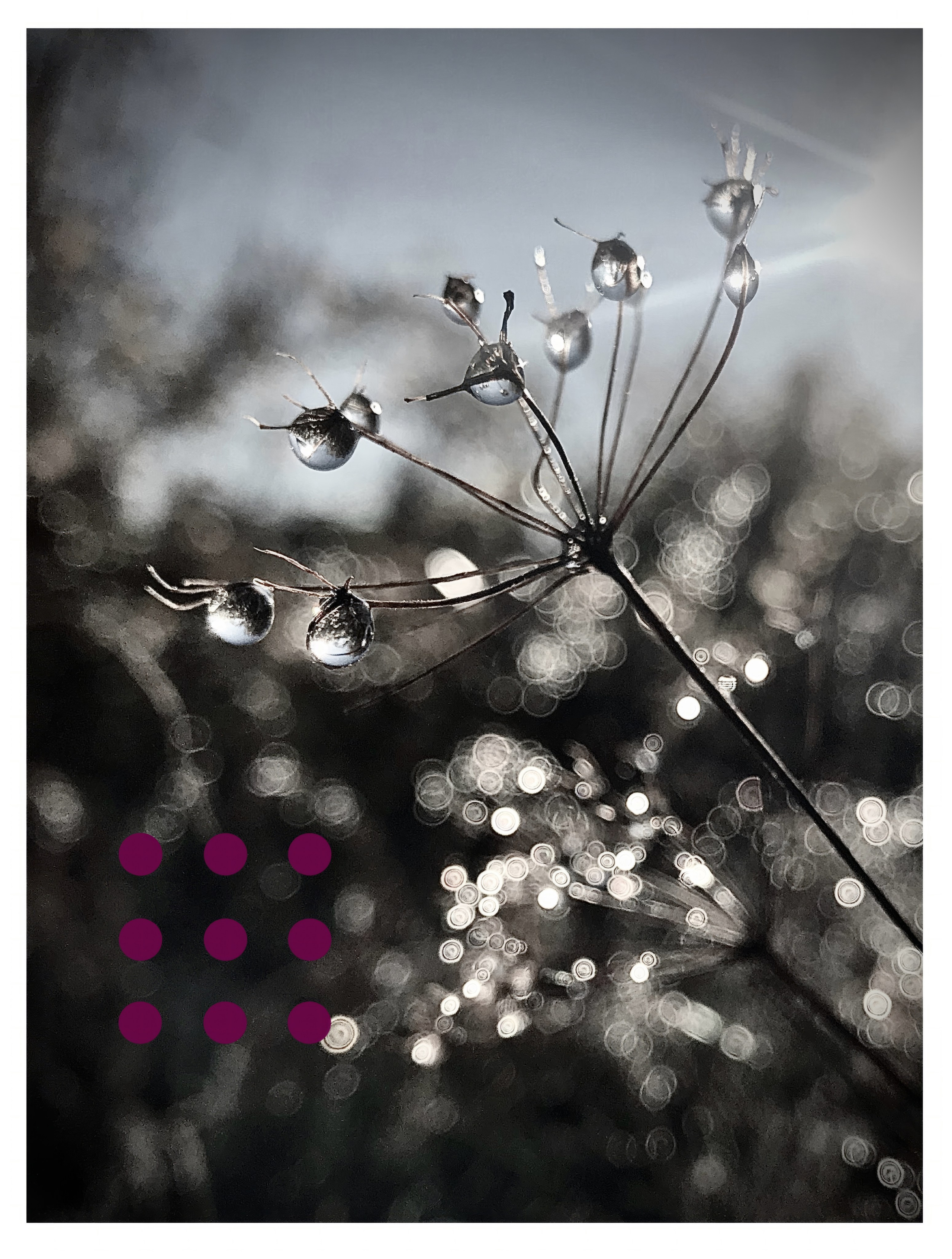 Испорченные фотографии — авторская серия Ма. Ма