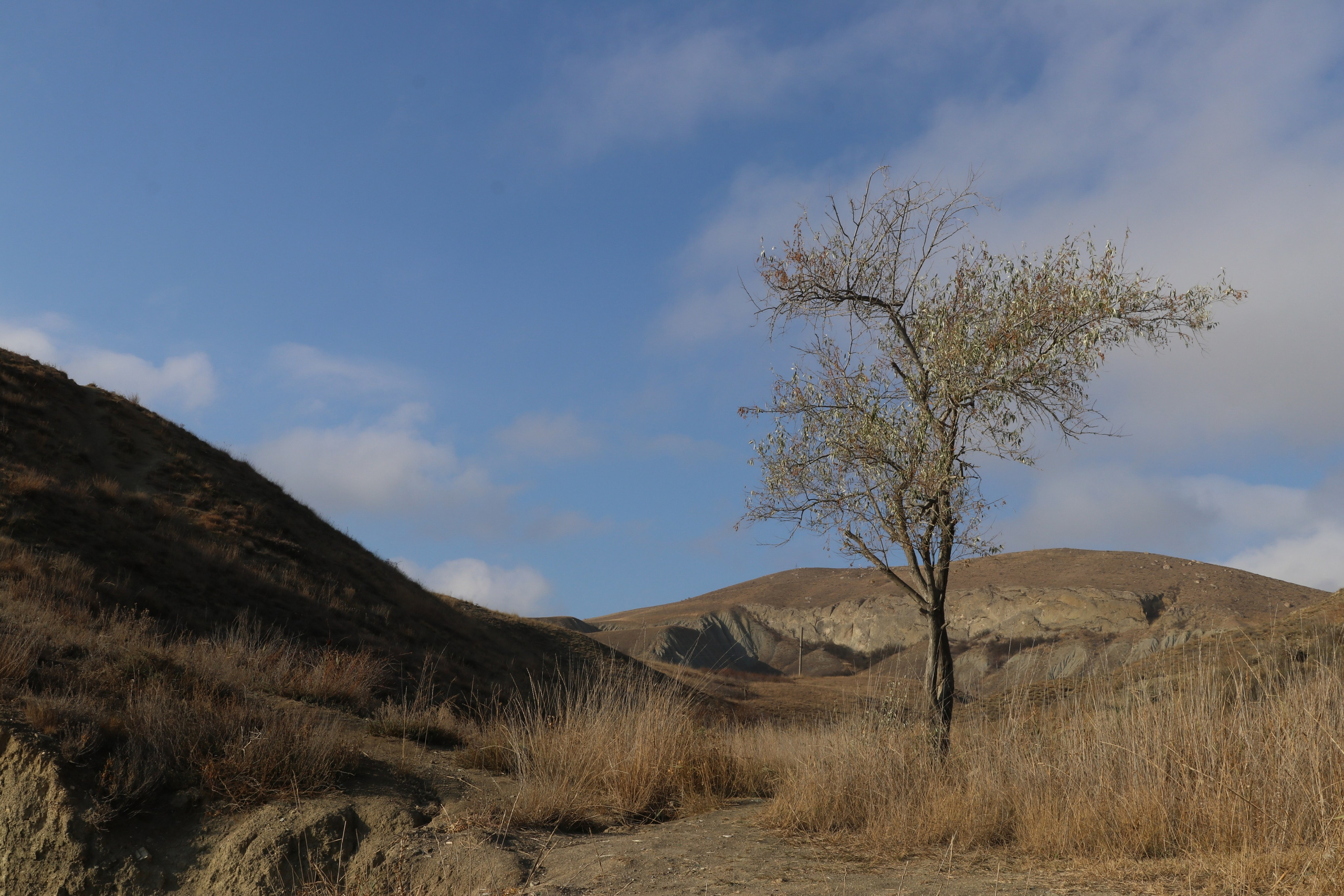 Крым. ЮБК (Гурзуф, Судак и их окрестности). Ноябрь 2023. Путешественник-фотограф из Санкт-Петербурга Татьяна Свистулина