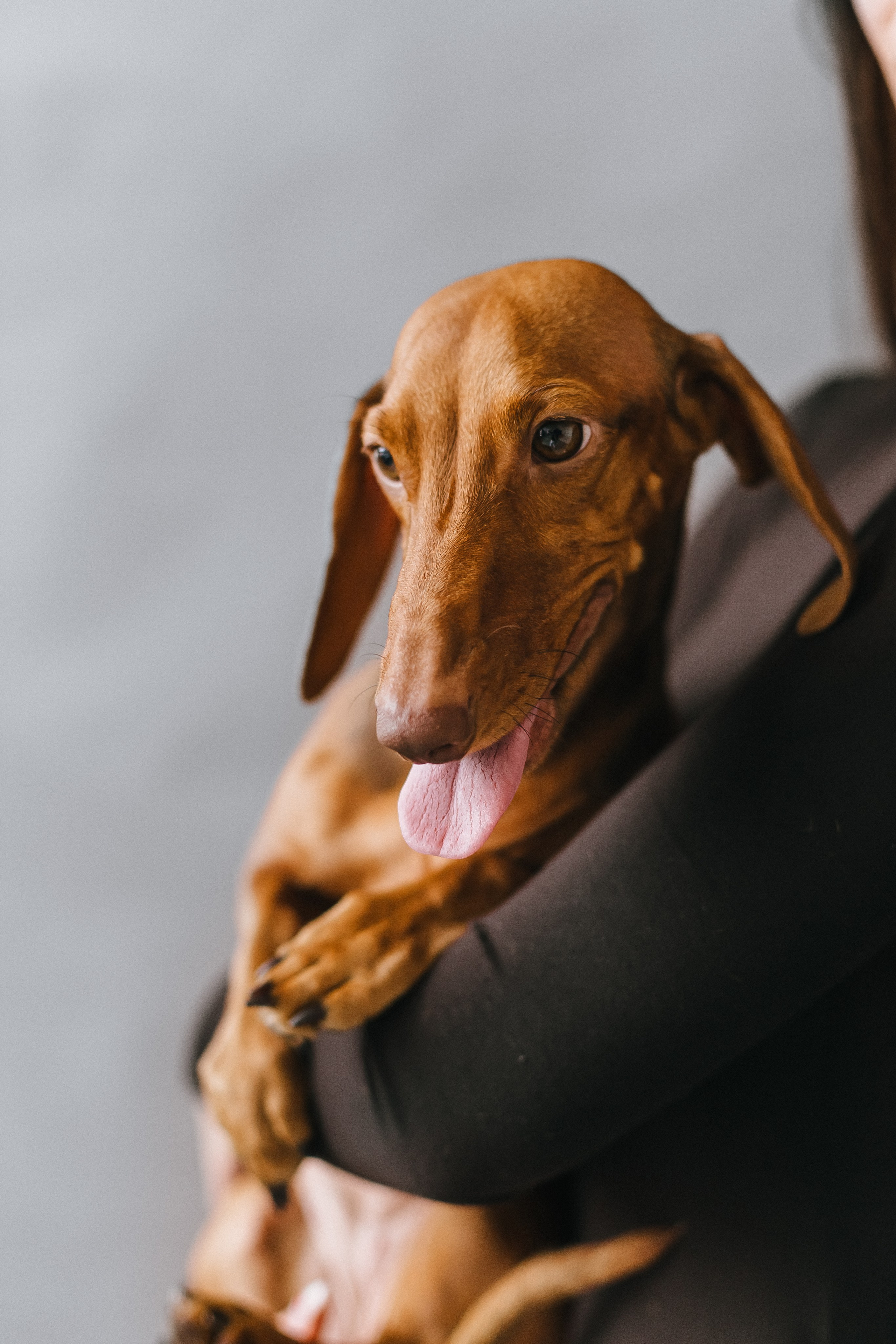 Анна и Валентин + Чапа. Портретный и семейный фотограф в Минске