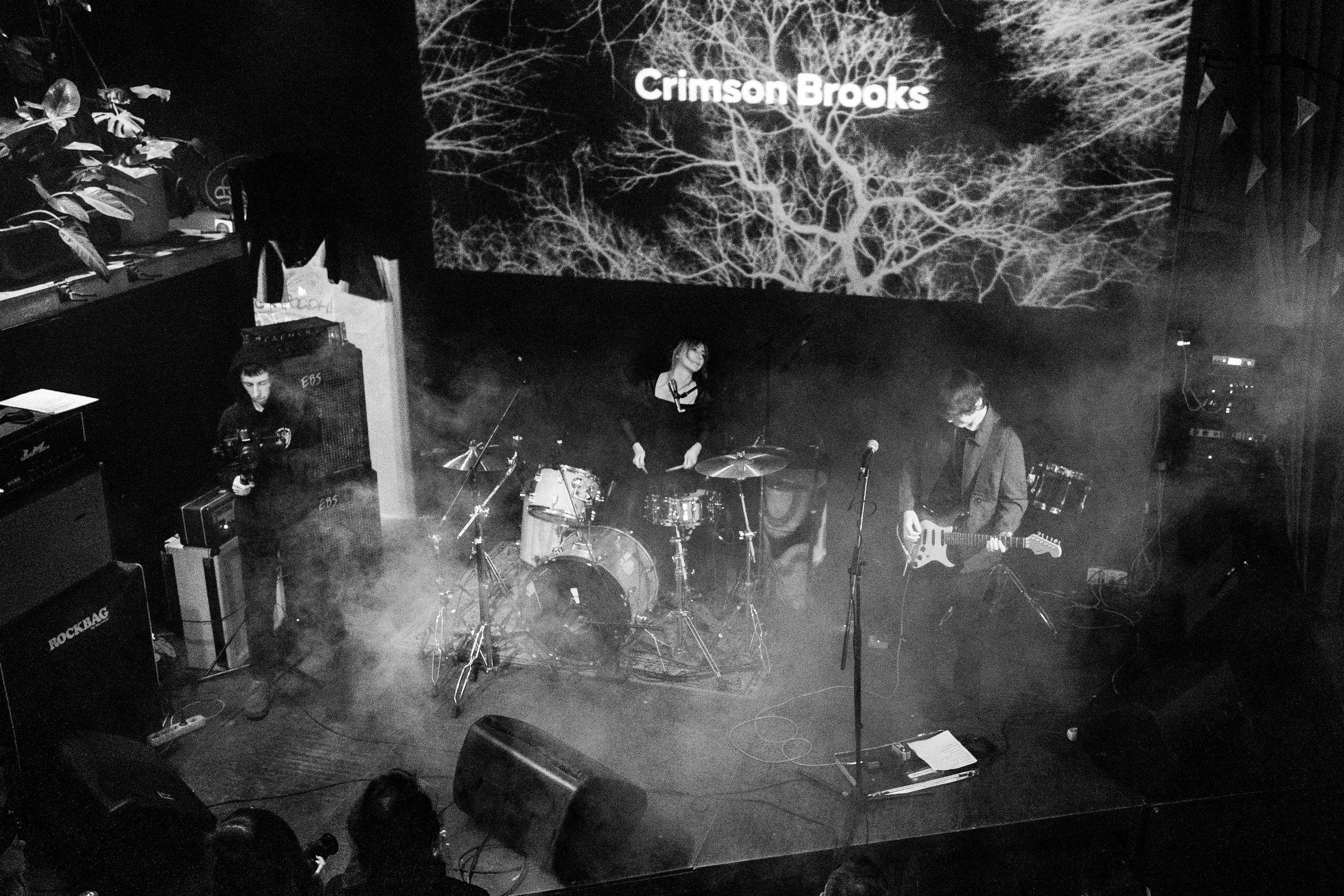 Inside the Rain|Ласточка. Концертный и репортажный фотограф в Санкт-Петербурге Слава Пахомов