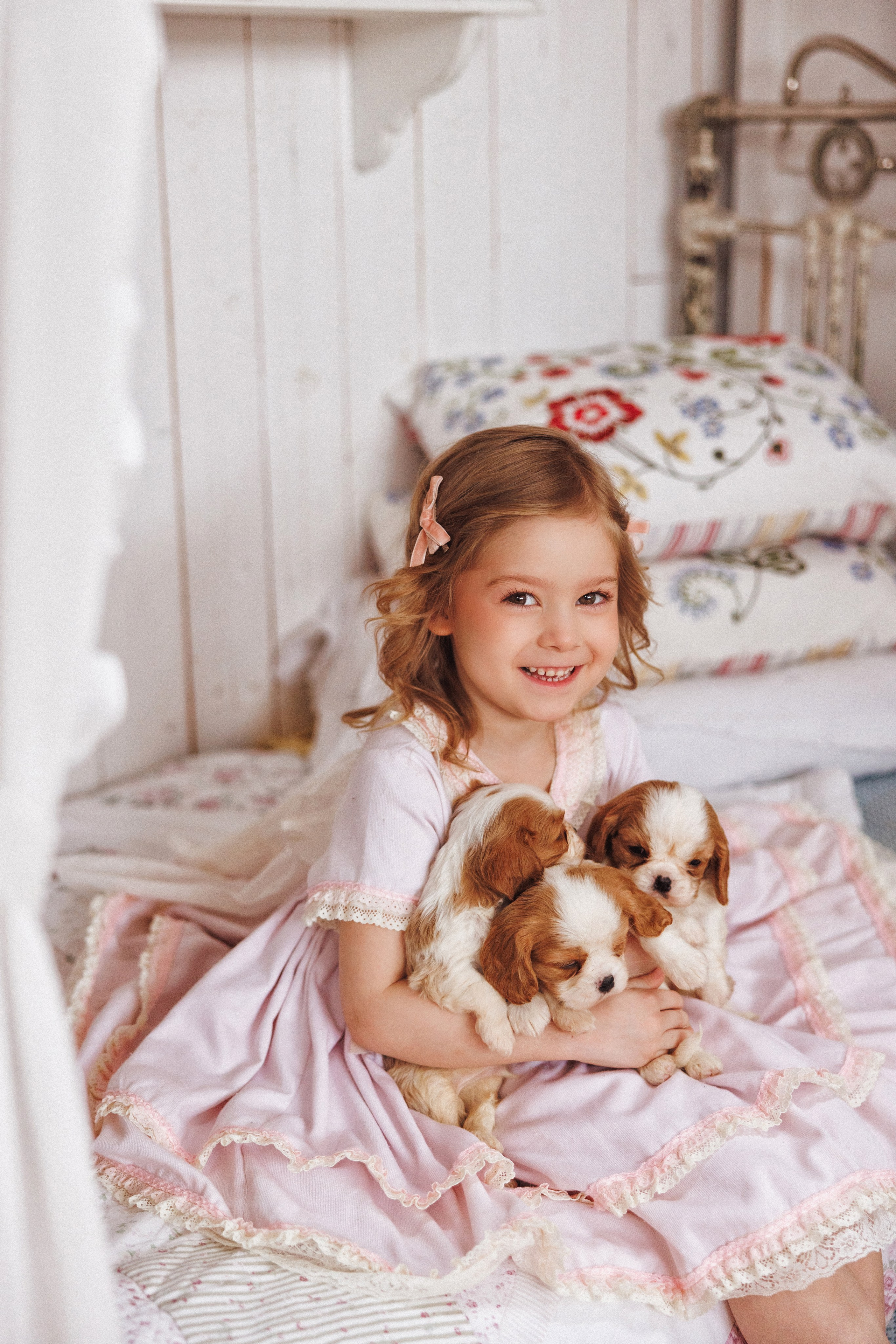 Фотосессия с щенками Кавалер кинг чарльз спаниель, фотостудия Ольги Сурухановой, город Краснодар. Семейный и детский фотограф в Краснодаре Анна Трашкова