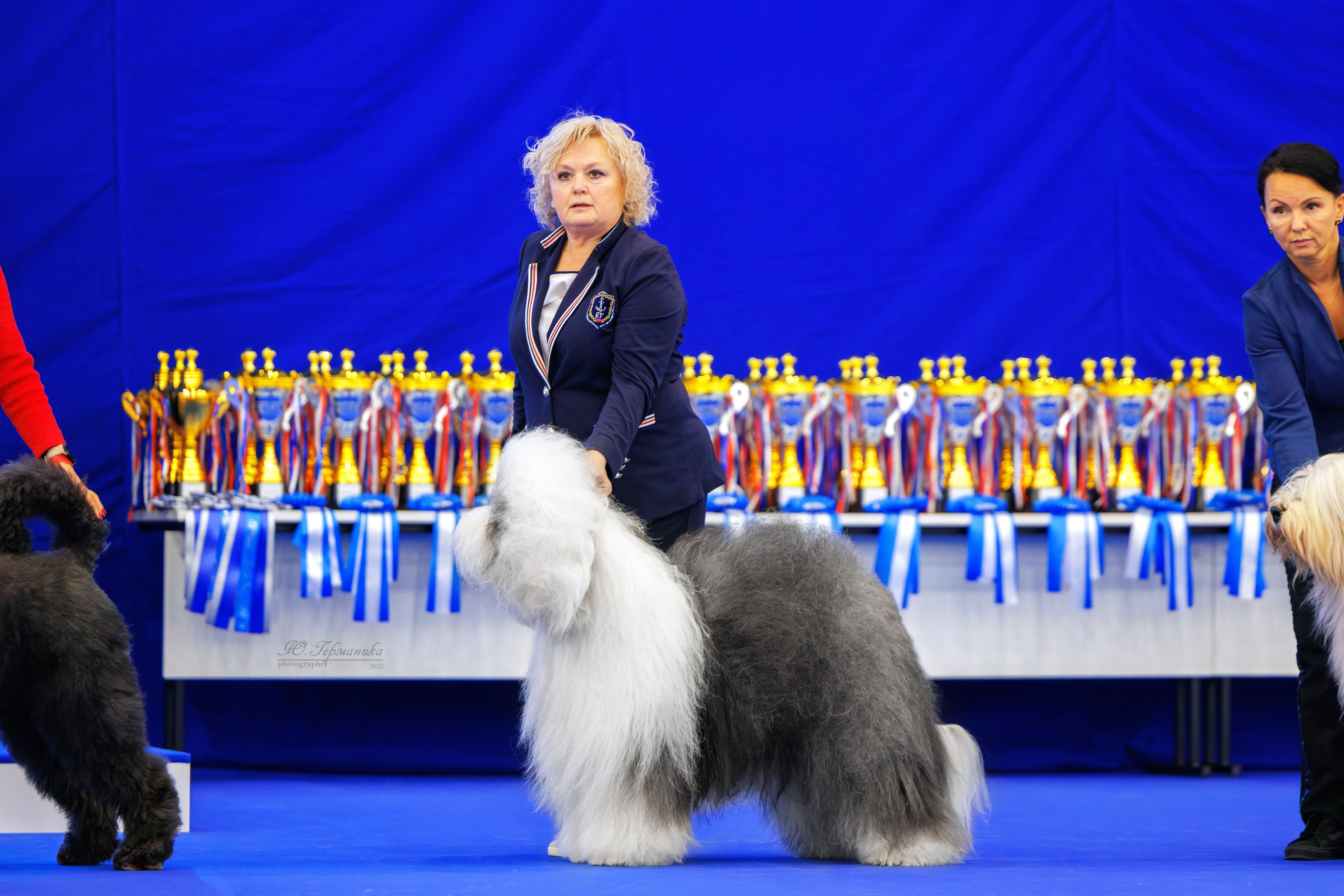 Питер 12-13.12.2025. Фотограф-анималист Юлия Германика