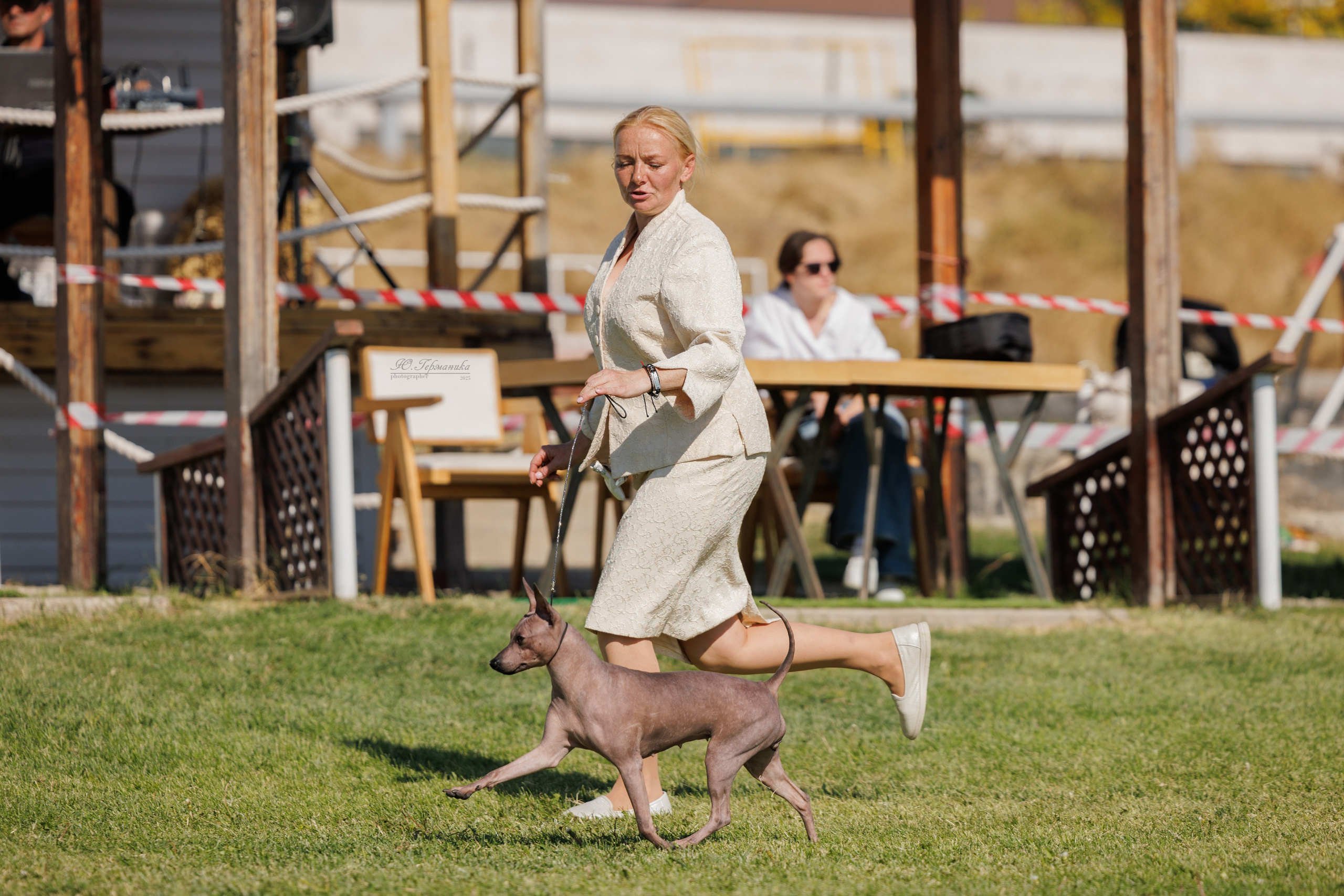 Ереван 14-16.10.2025. Фотограф-анималист Юлия Германика